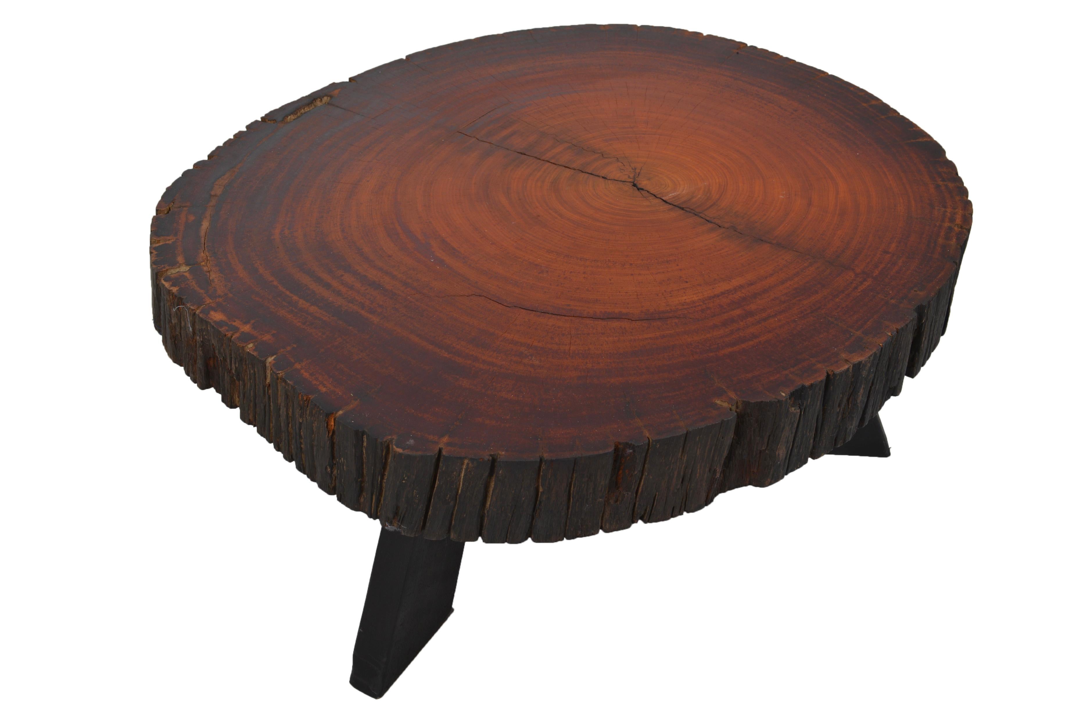 Solid tree trunk table made of a thick cross section of exotic wood. Top stands on 3 ebonized wooden legs.