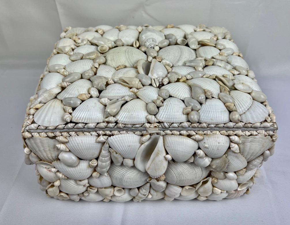 Boîte artisanale recouverte de coquillages naturels blancs. C'est l'une des plus grandes boîtes de ce type que j'ai rencontrées. L'artisan a pris grand soin de créer le motif de chaque surface. Il y a même une bordure de minuscules coquillages