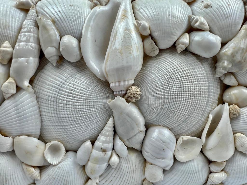 Victorien Boîte fabriquée à la main avec tout un motif de coquillages naturels blancs, à charnière