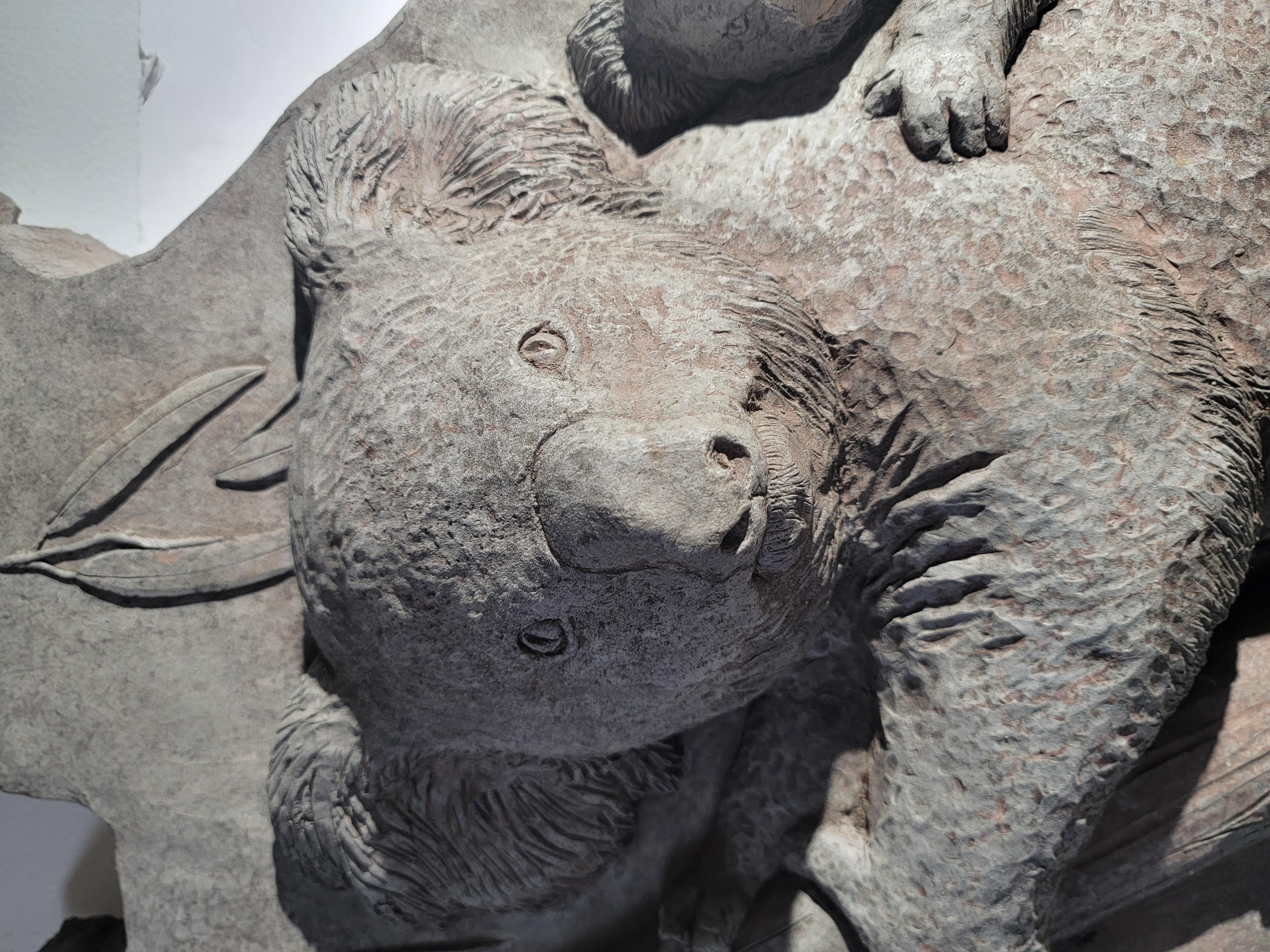 Handgefertigte Skulptur eines Koalas  trägt auf Beton. Die Form der gesamten Skulptur entspricht der Form des Landes Australien und ist eine sehr schwere, handgefertigte Skulptur.