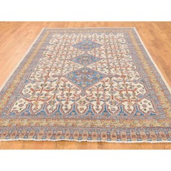 Hand Knotted Antiqued Shiraz Design with Birds Peshawar Rug