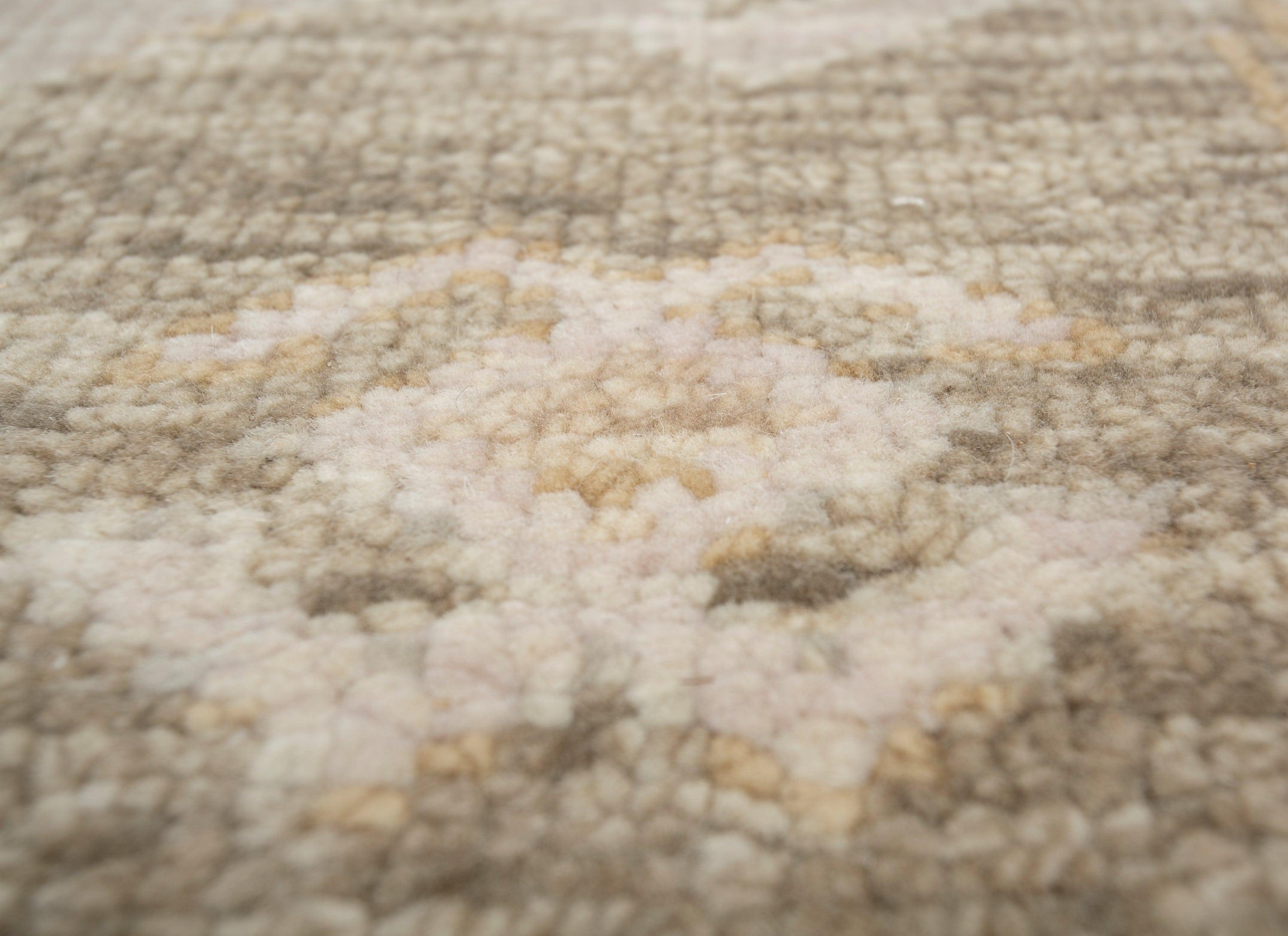 Indien Tapis noué à la main en ivoire foncé et caramel moyen, design transitionnel en vente