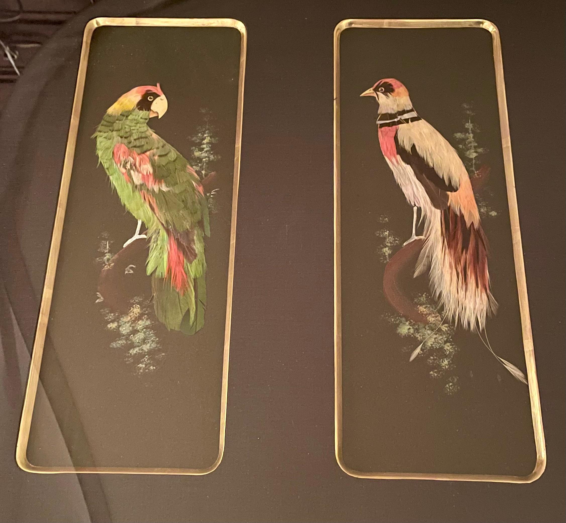 Collezione di piume di uccelli del sud della Florida realizzate a mano e incorniciate su sfondi dipinti.
