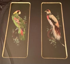 Hand-Made American Matted Collection of Feathers of South Florida Birds in Frame
