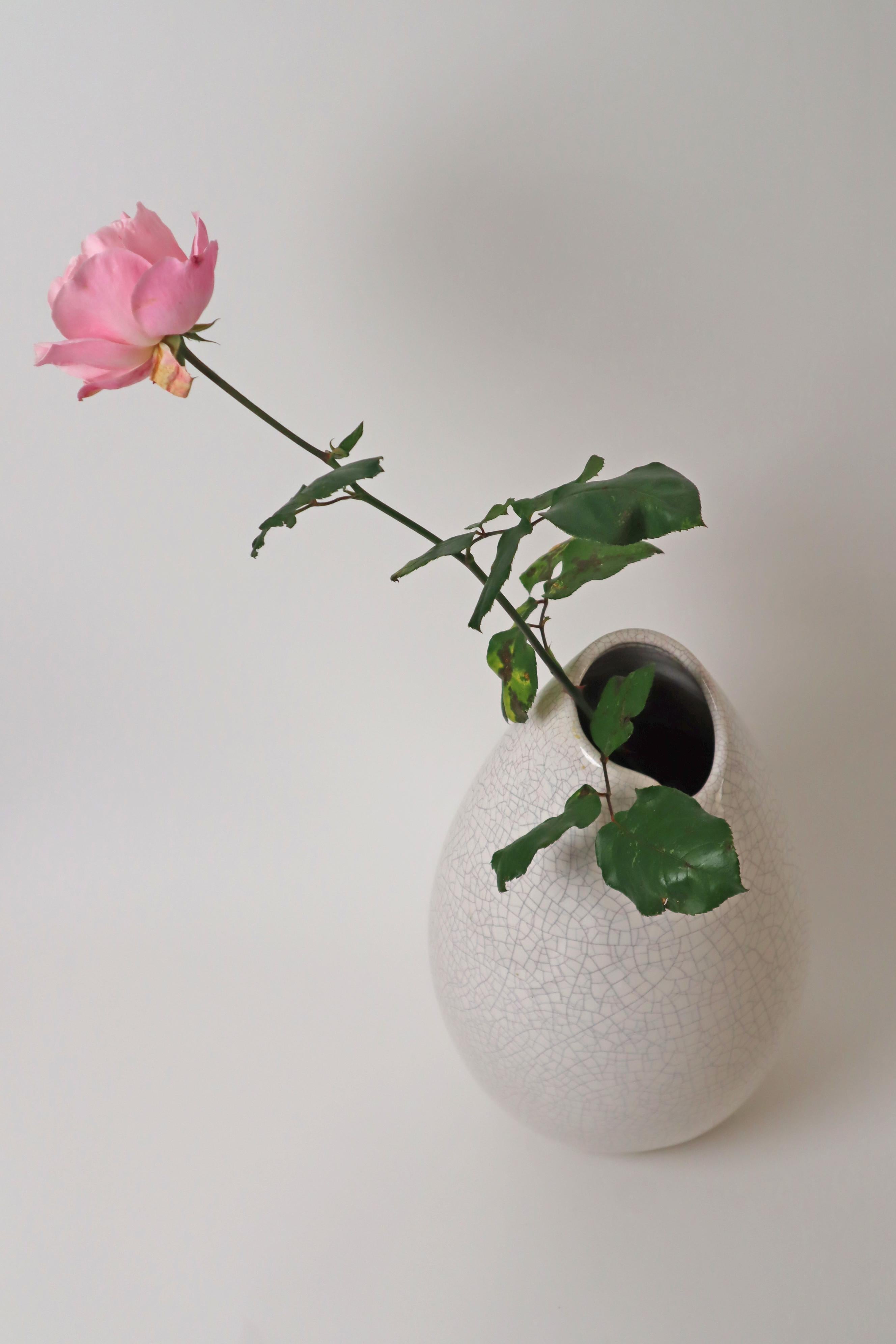 Bellissimo vaso crakele di grandi dimensioni e di ottima fattura secondo il precedente proprietario, proveniente da un laboratorio di artisti molto rinomato, acquisito negli anni '50 dai nonni, che davano molto valore al buon design e alla qualità.