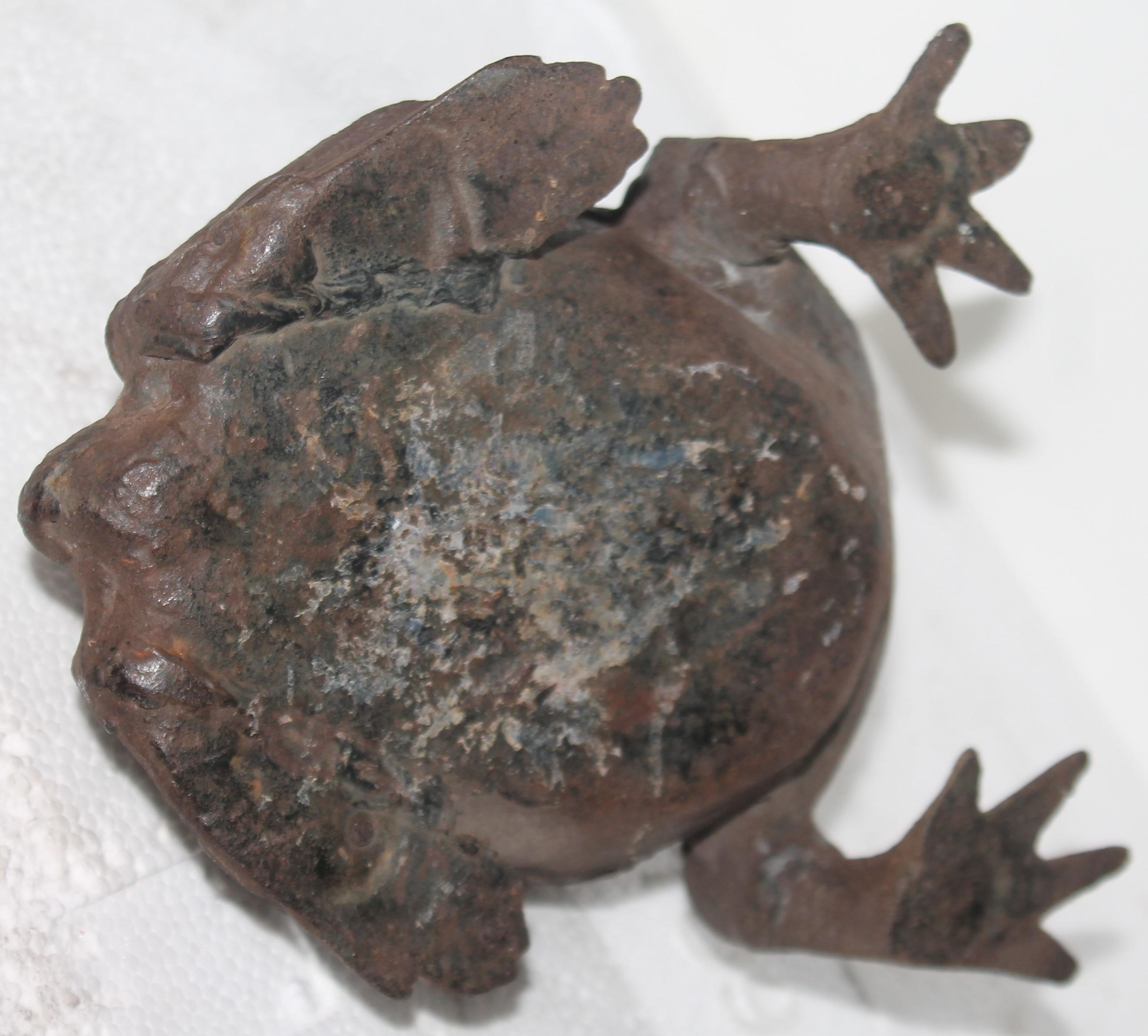 vintage cast iron frog