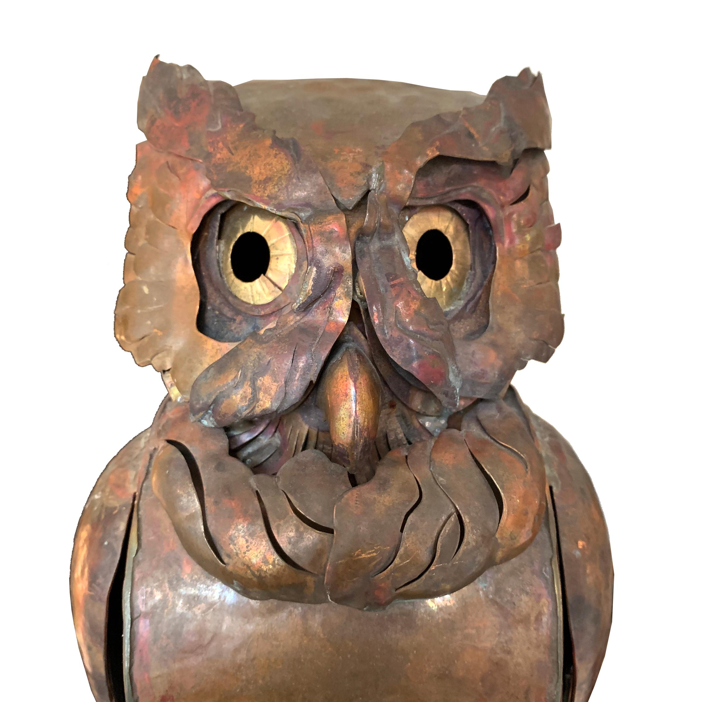 copperdicked owl