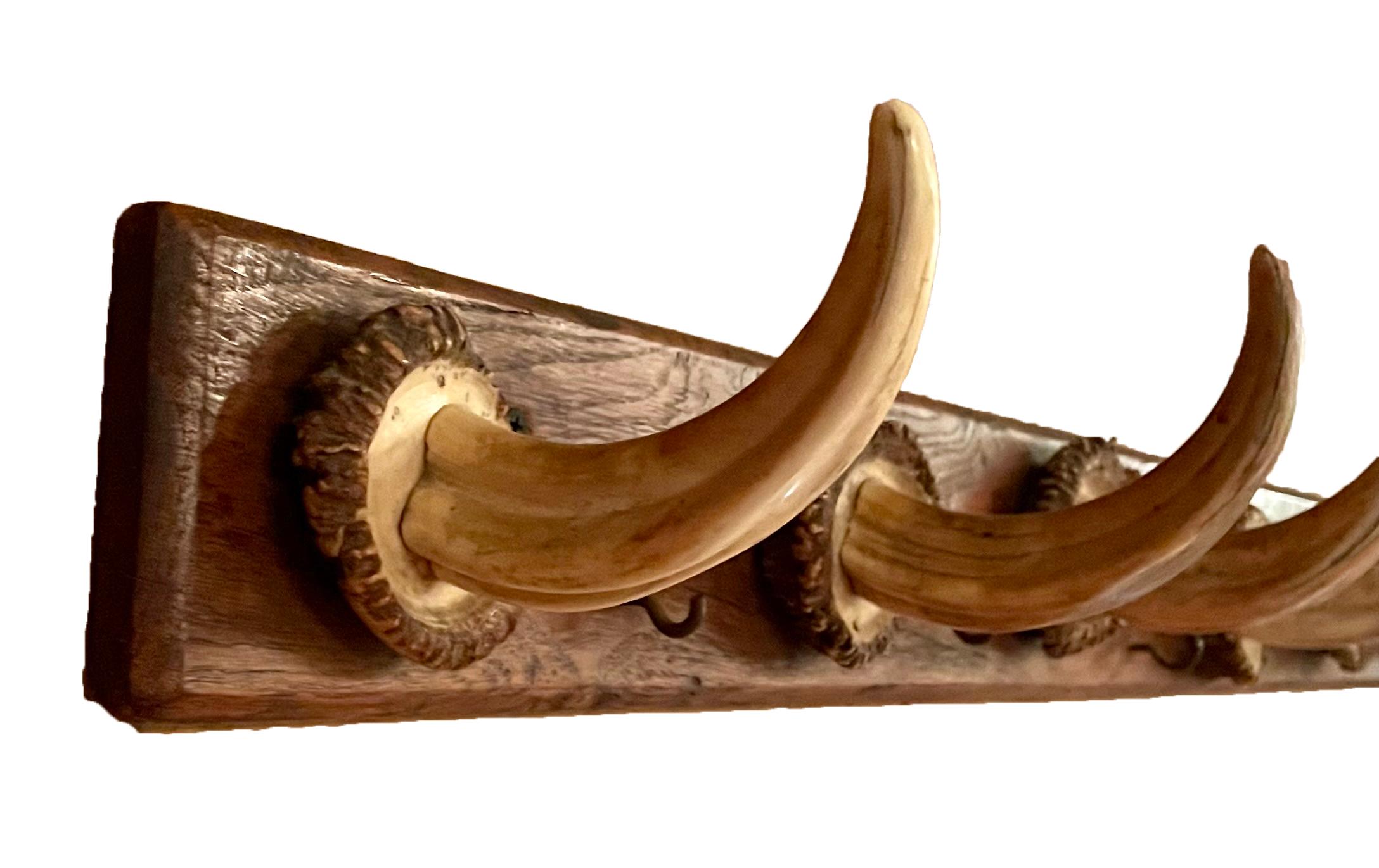 Hand-made European Warthog Tusk Hall Tree. In Good Condition For Sale In New Orleans, LA