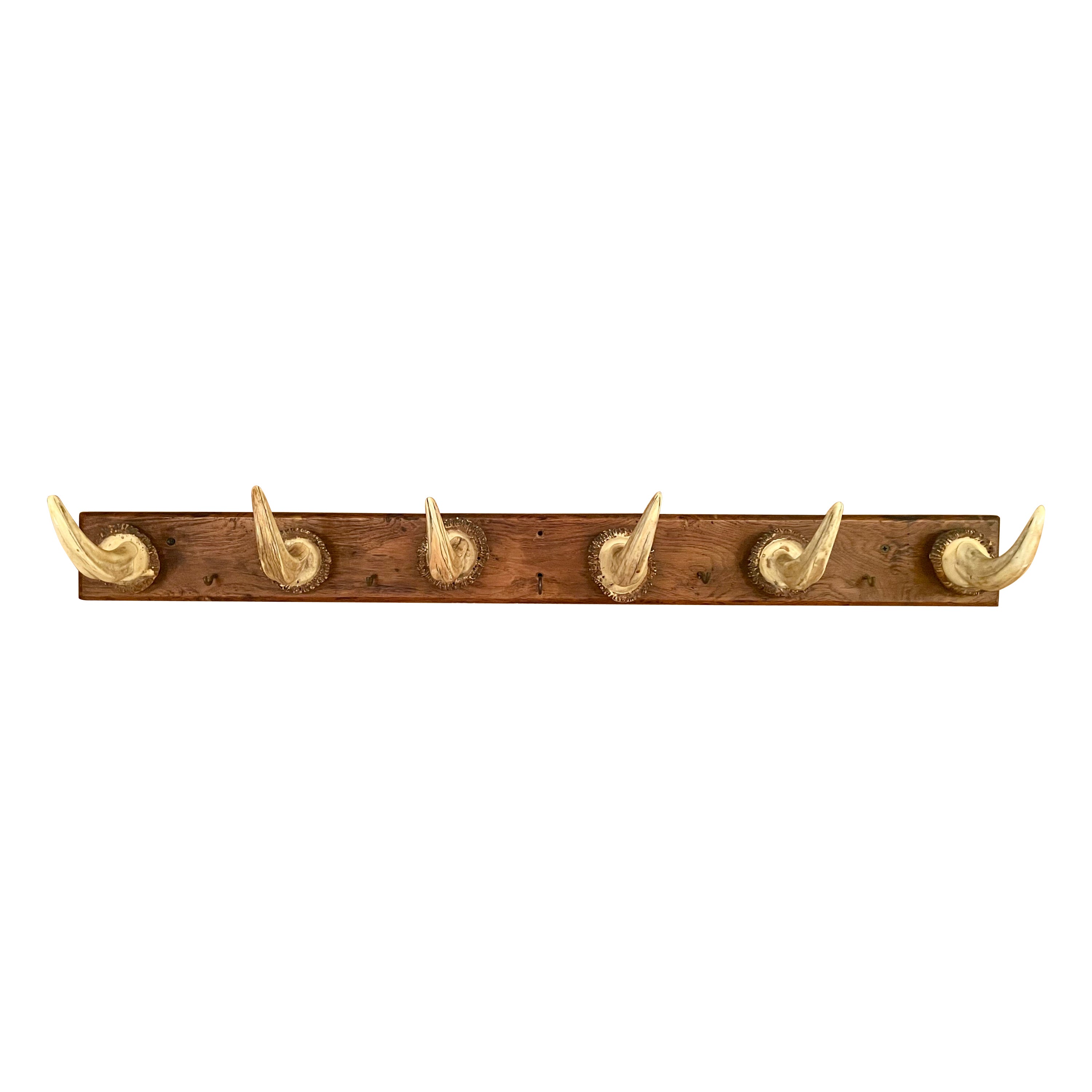 Hand Made European Warthog Tusk Hall Tree. im Angebot