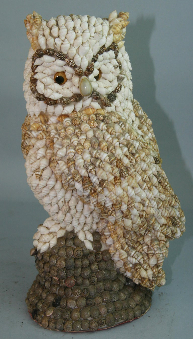 1237 hand crafted owl sculpture made from small sea shells.