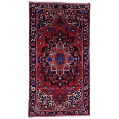 Handmade Semi Antique Persian Bakhtiari Wide Runner Rug