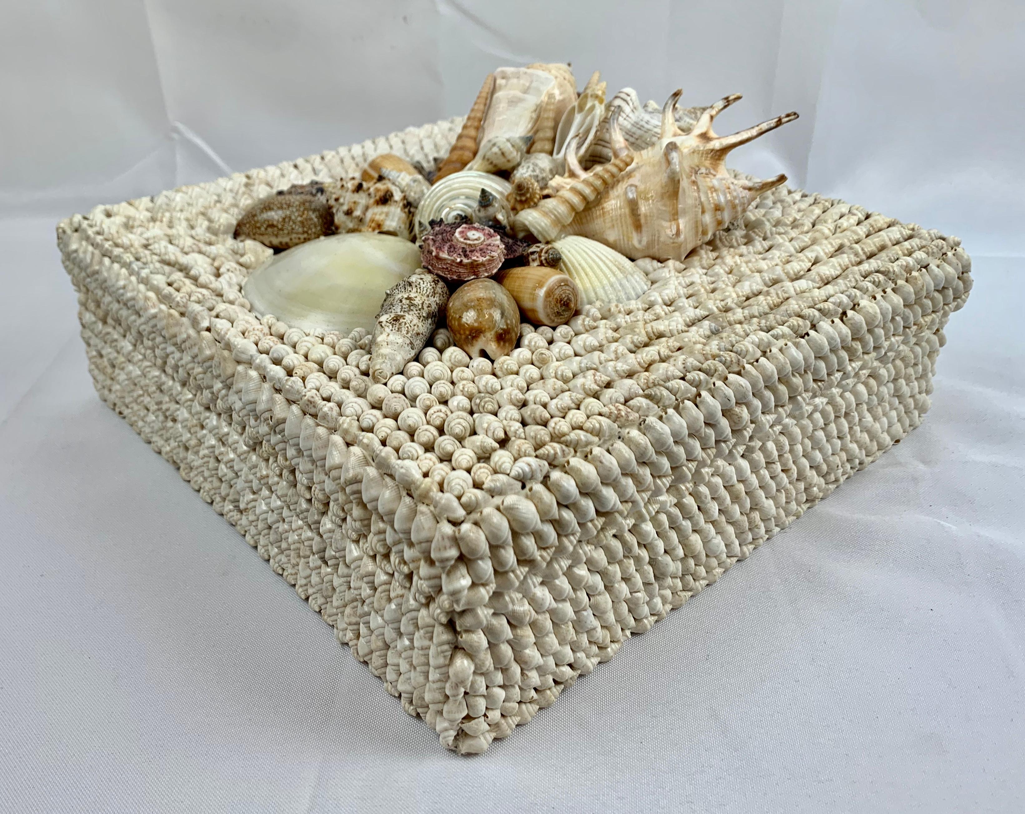 Square Box with Natural White Sea Shells and Removable Lid, Hand Decorated 5