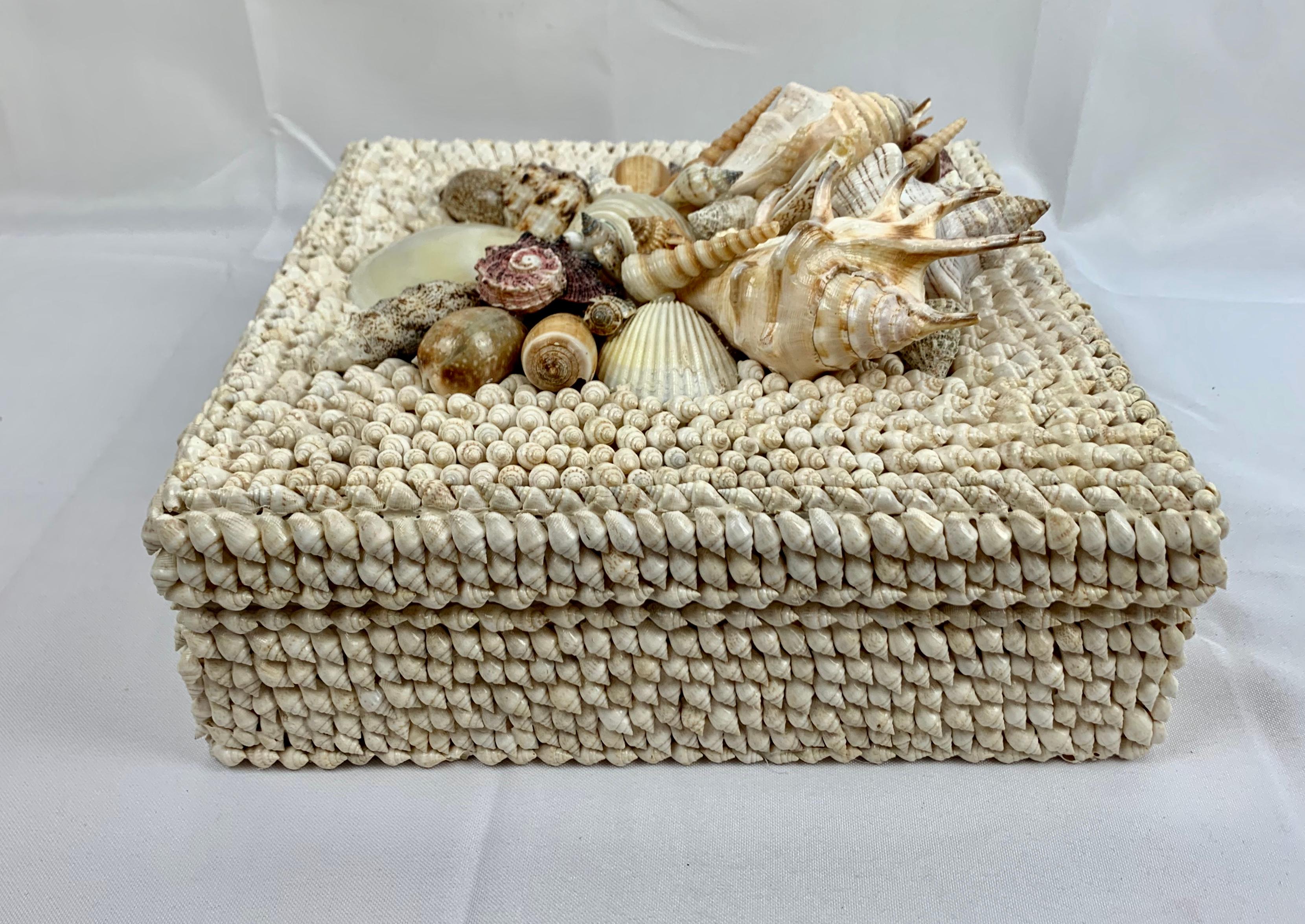 Square Box with Natural White Sea Shells and Removable Lid, Hand Decorated 7