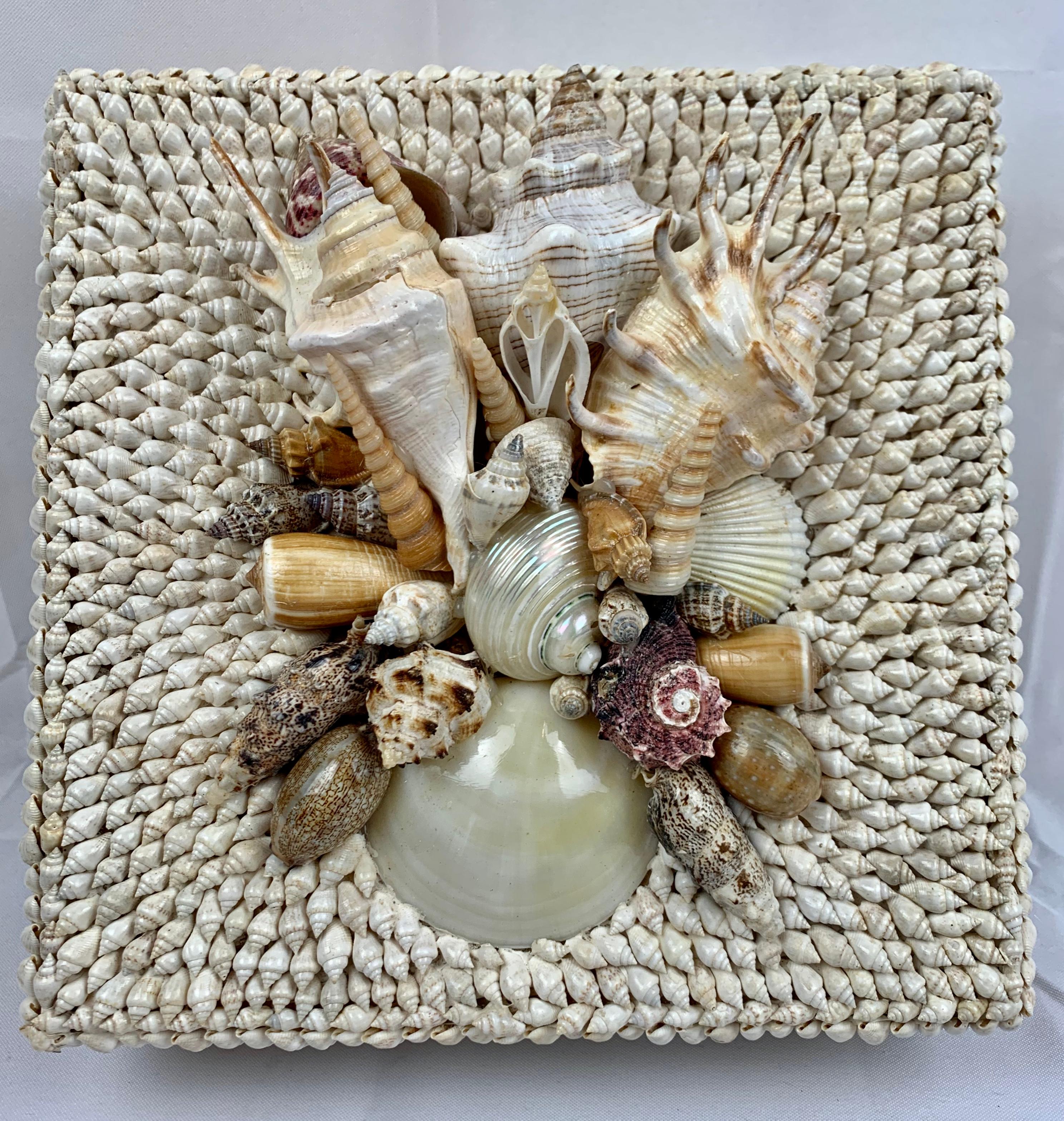Square box encrusted with natural shells on a bed of petit shells. The lid has an assortment of unusual shells placed on the lids center. The box is lined in white and the lid is removable.
Measures: 10