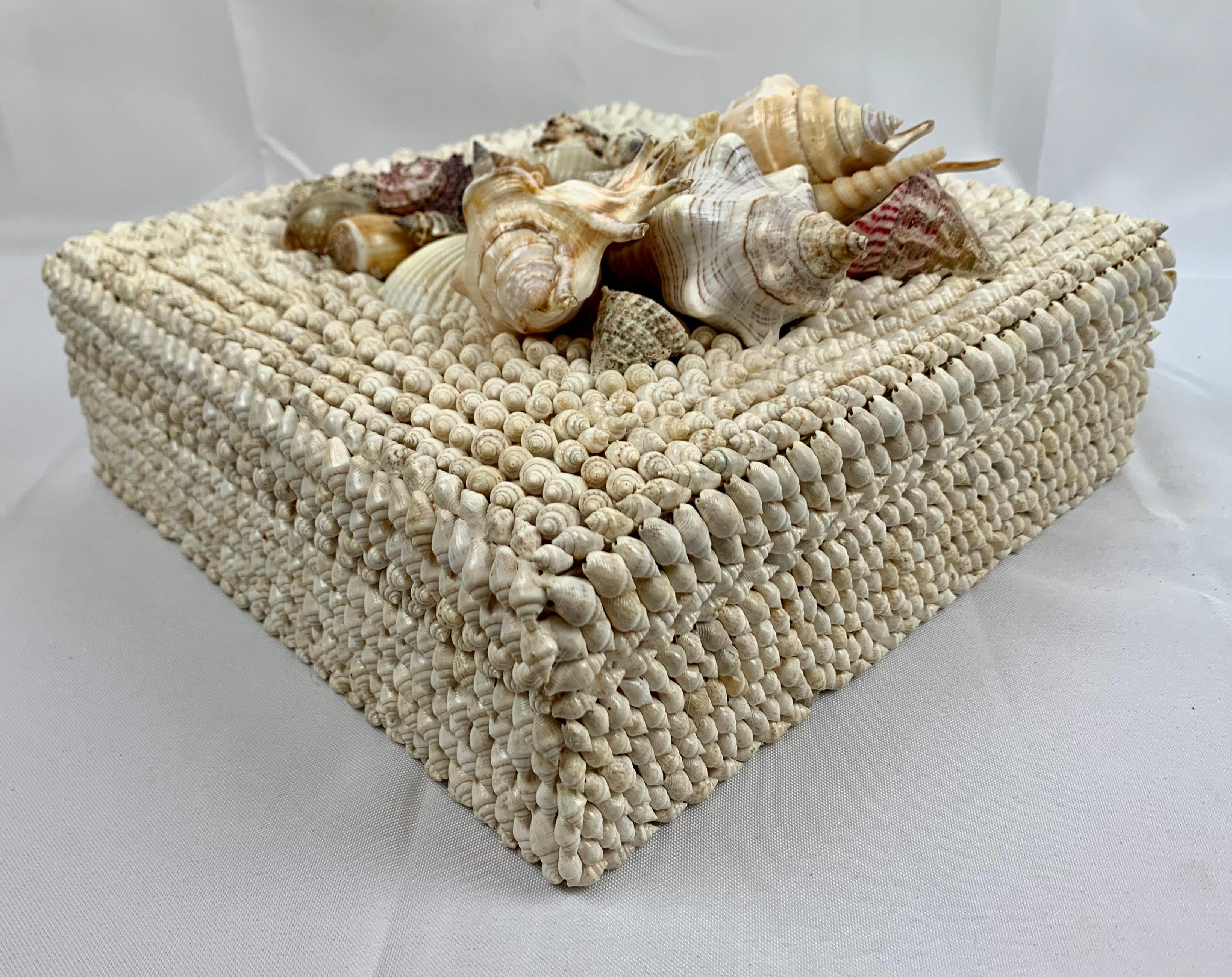 Contemporary Square Box with Natural White Sea Shells and Removable Lid, Hand Decorated