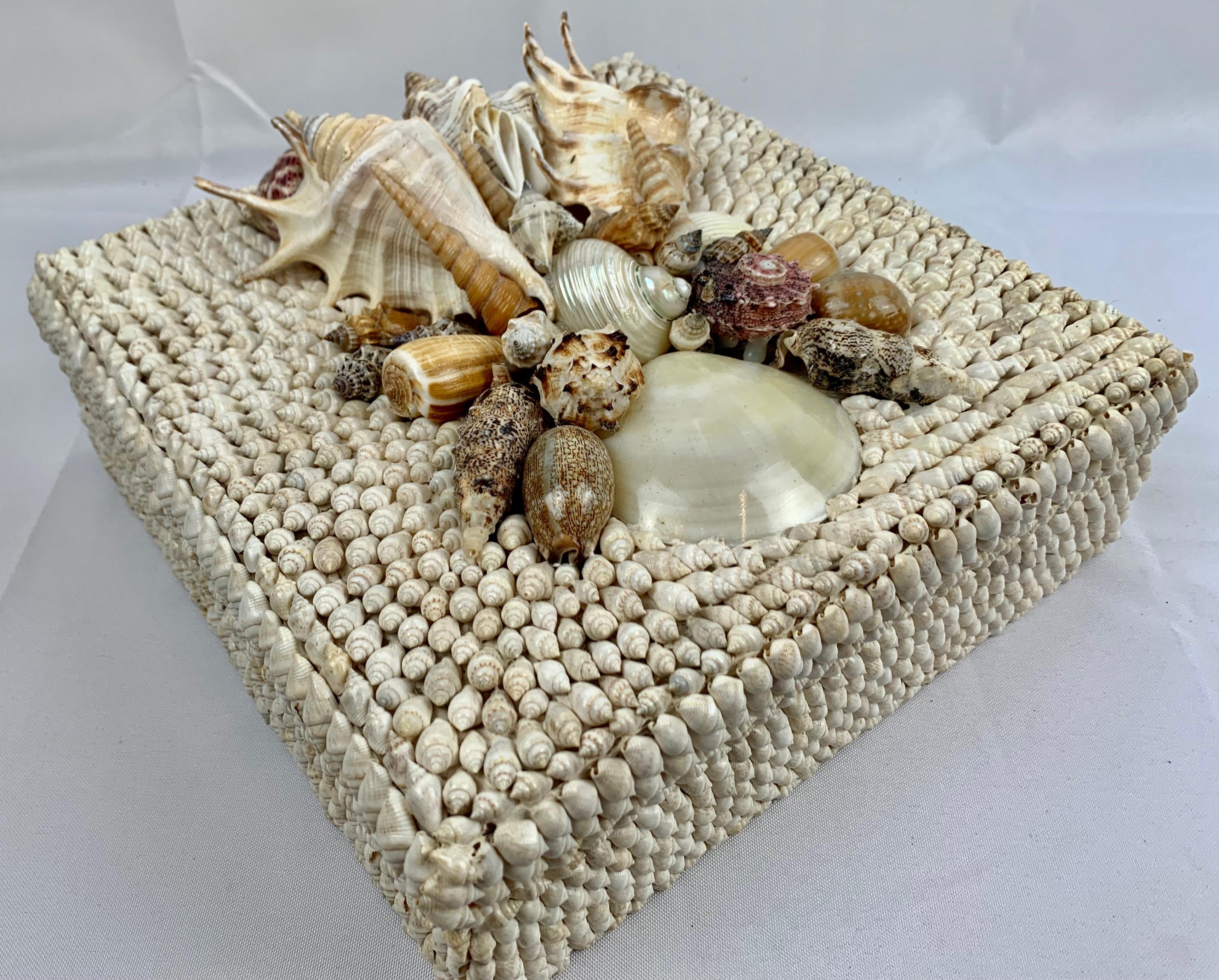 Square Box with Natural White Sea Shells and Removable Lid, Hand Decorated 2