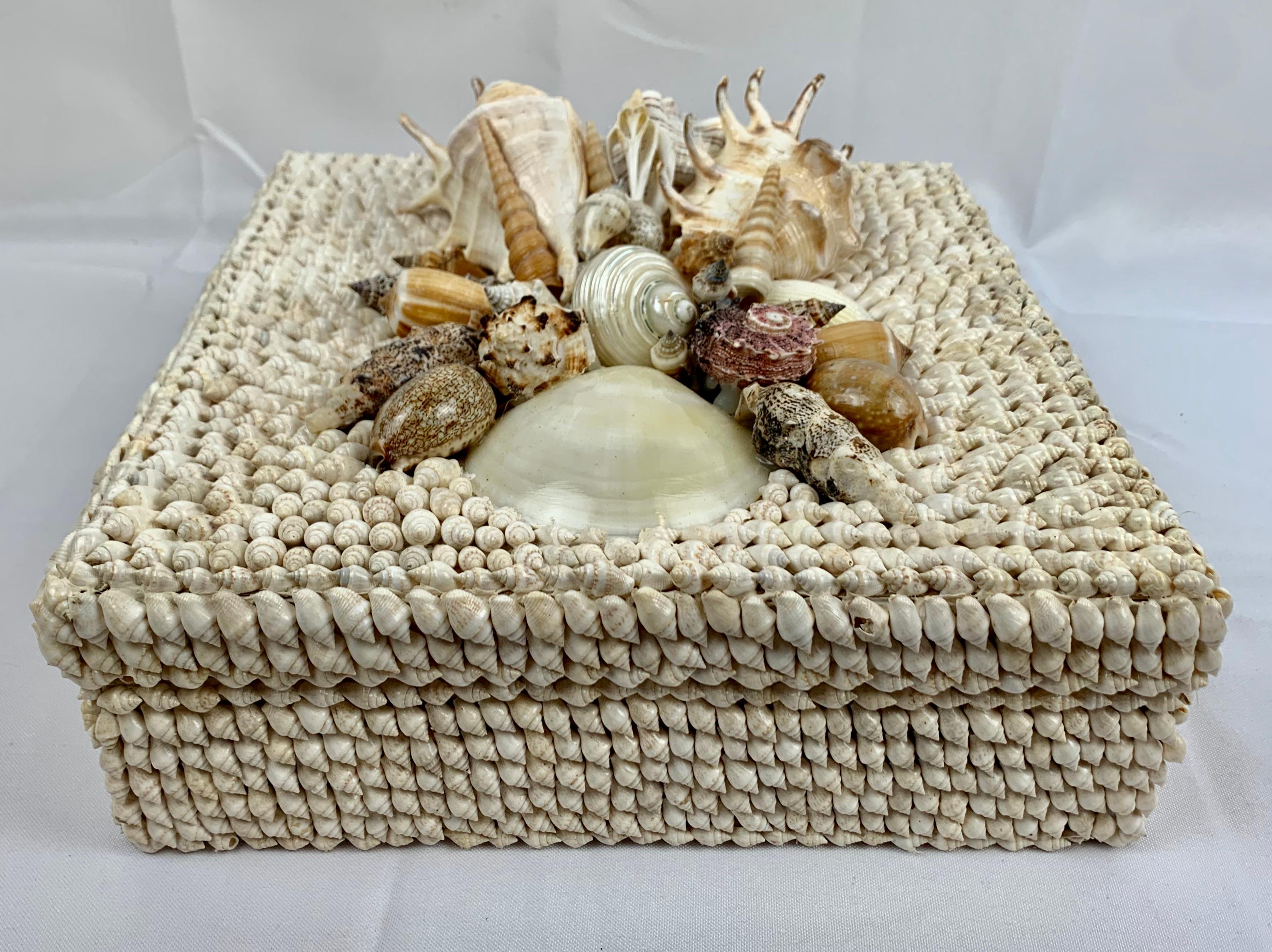 Square Box with Natural White Sea Shells and Removable Lid, Hand Decorated 3