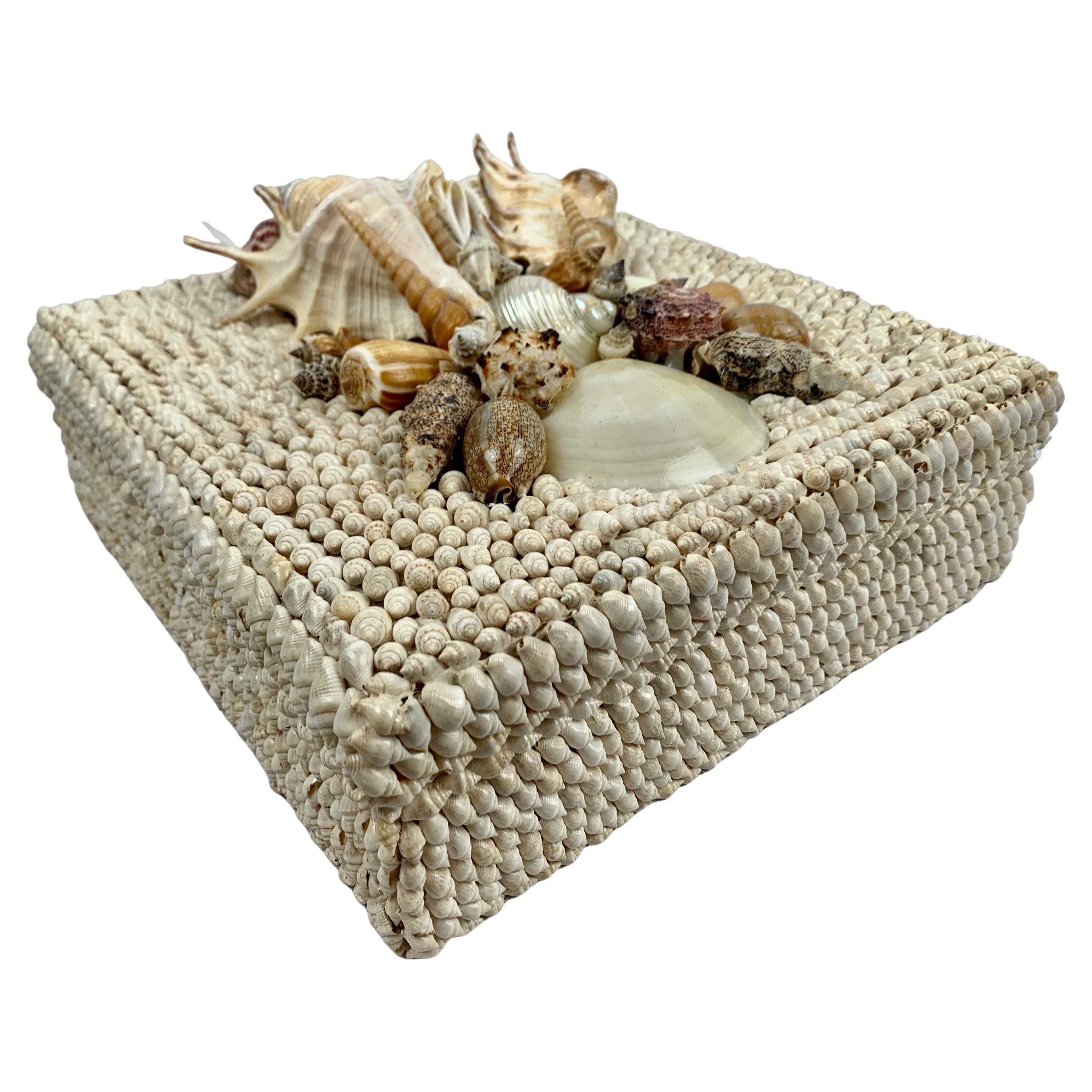 Square Box with Natural White Sea Shells and Removable Lid, Hand Decorated