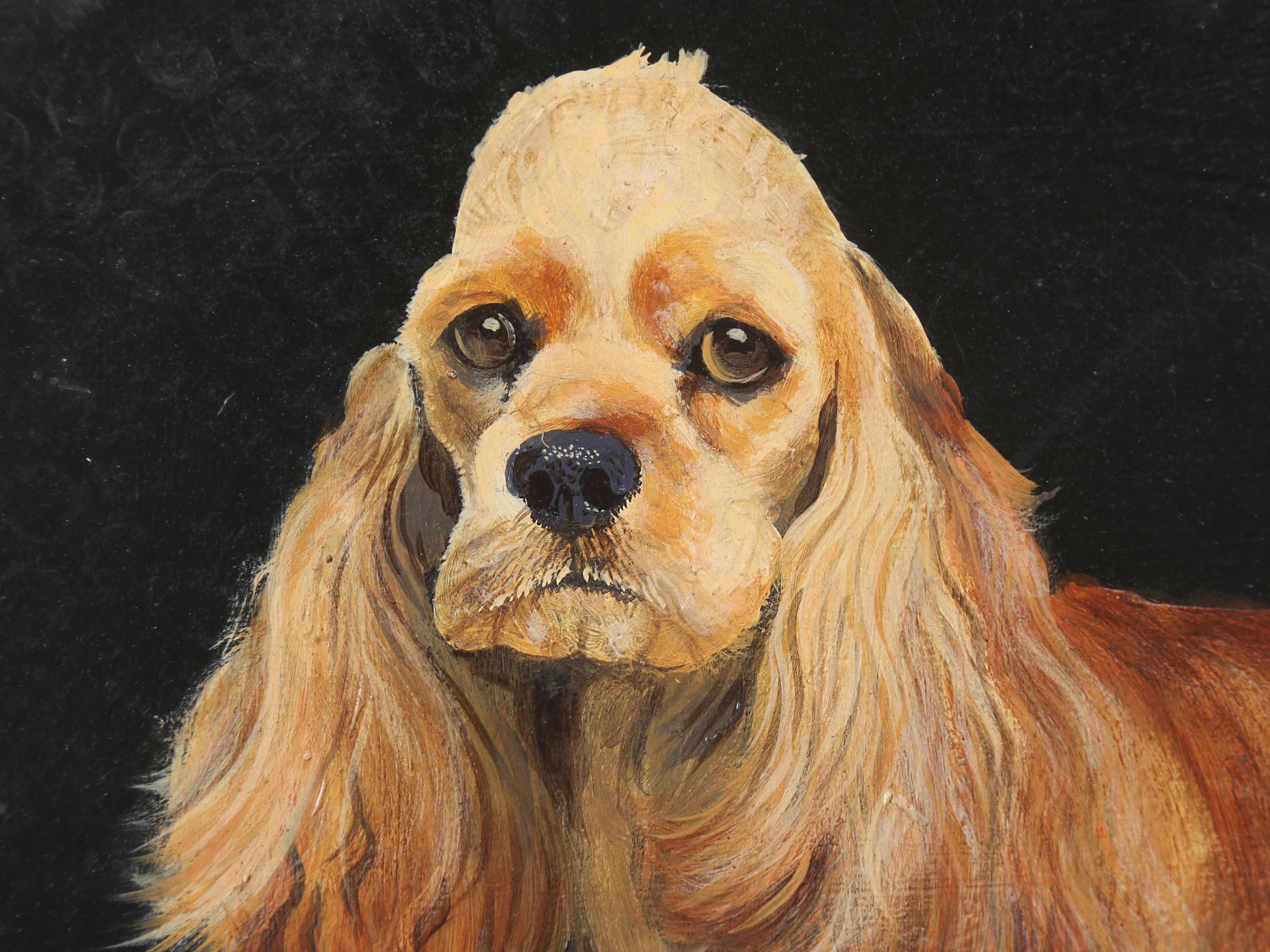 Cocker Spaniel americano dipinto a mano e appeso a una parete di latta, da LeeK, Inghilterra in vendita 4