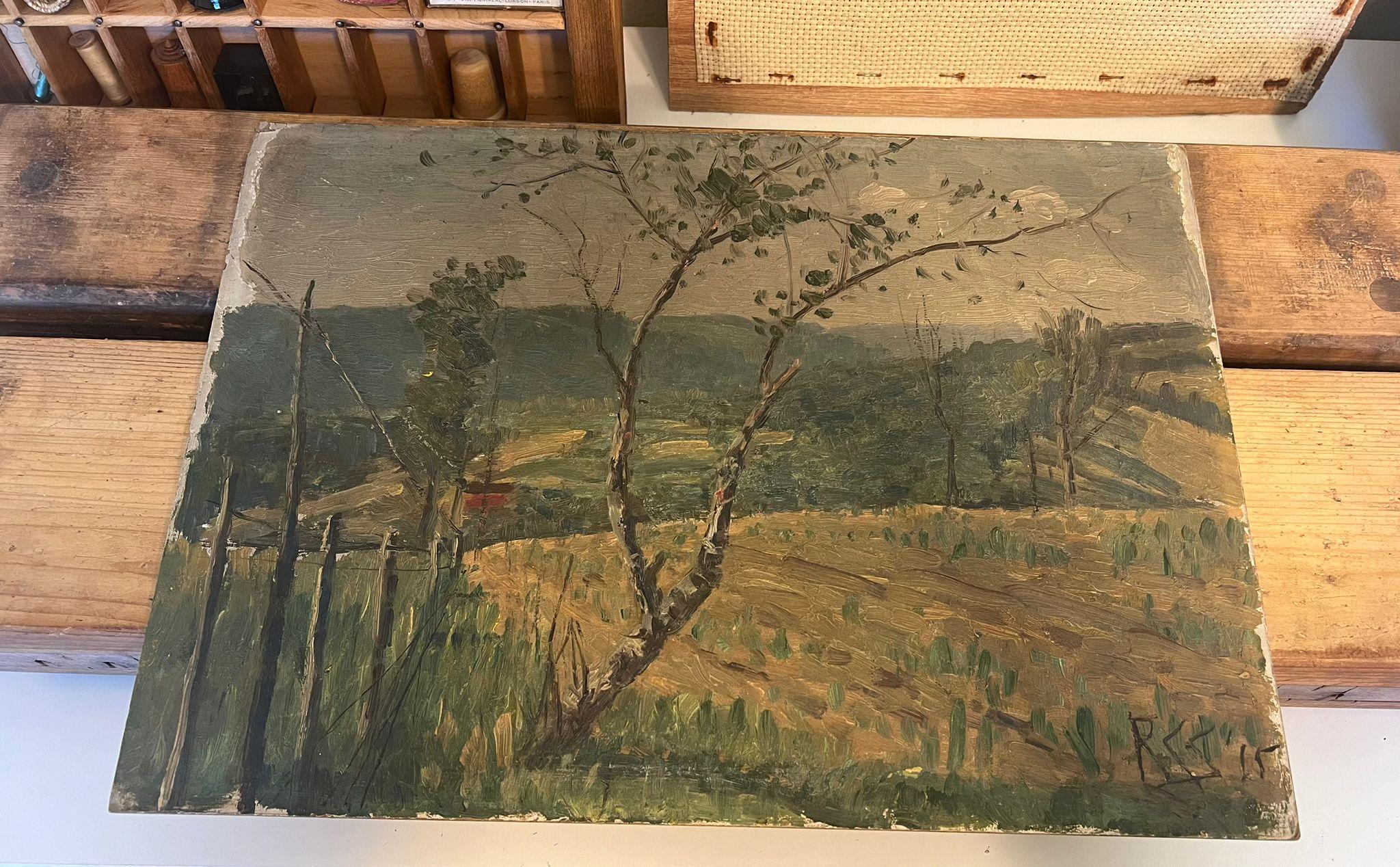 Cuadro de Paisaje pintado a mano y firmado, posiblemente Antiguo. en Bueno estado para la venta en Seattle, WA