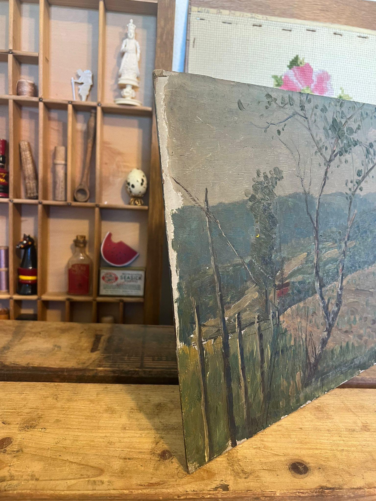 Cuadro de Paisaje pintado a mano y firmado, posiblemente Antiguo. finales del siglo XX en venta