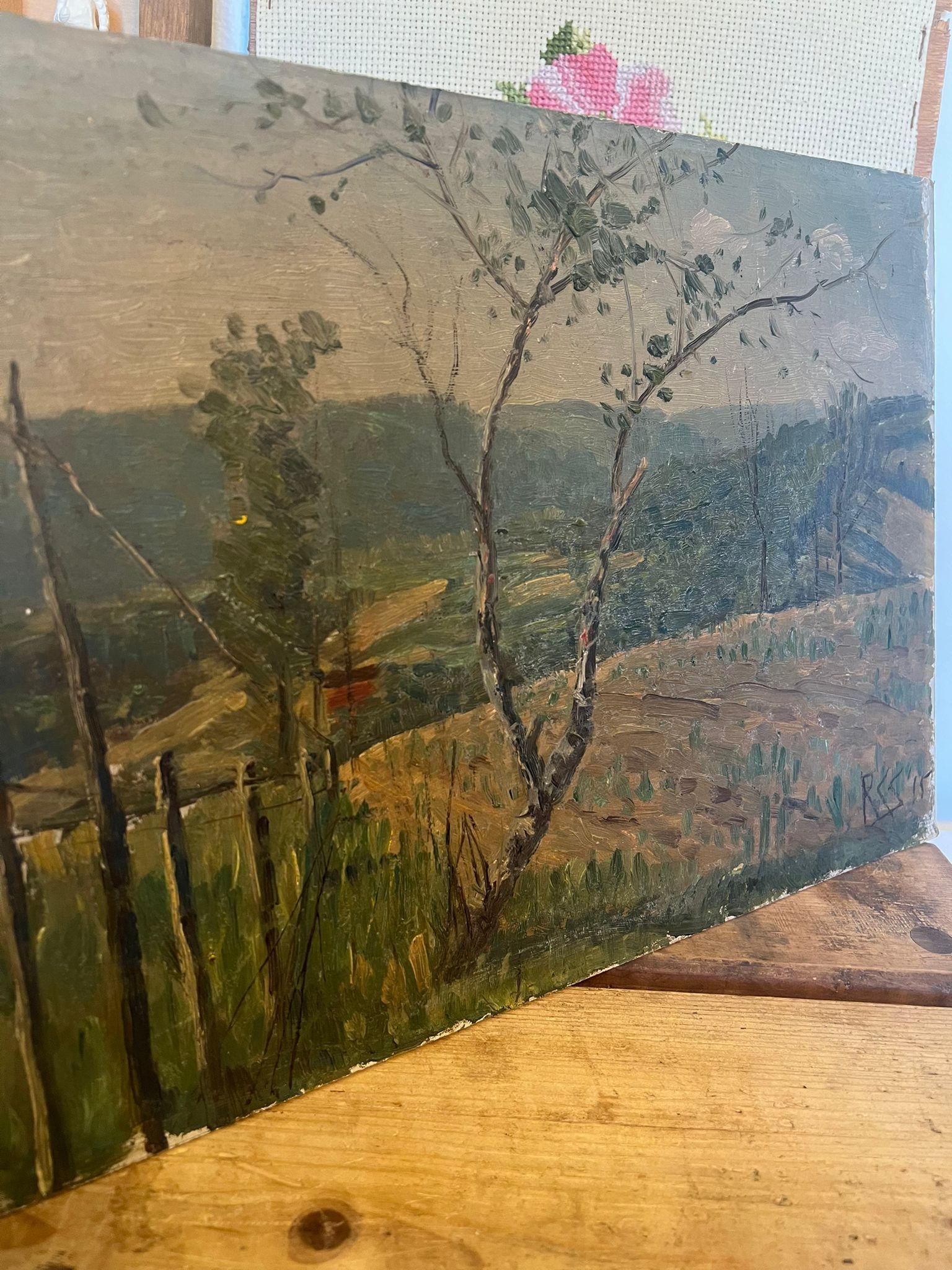 Cuadro de Paisaje pintado a mano y firmado, posiblemente Antiguo. en venta 2