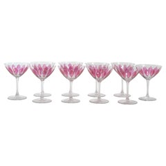 Hand Painted Crystal Champagne Coupe Service / Nine People