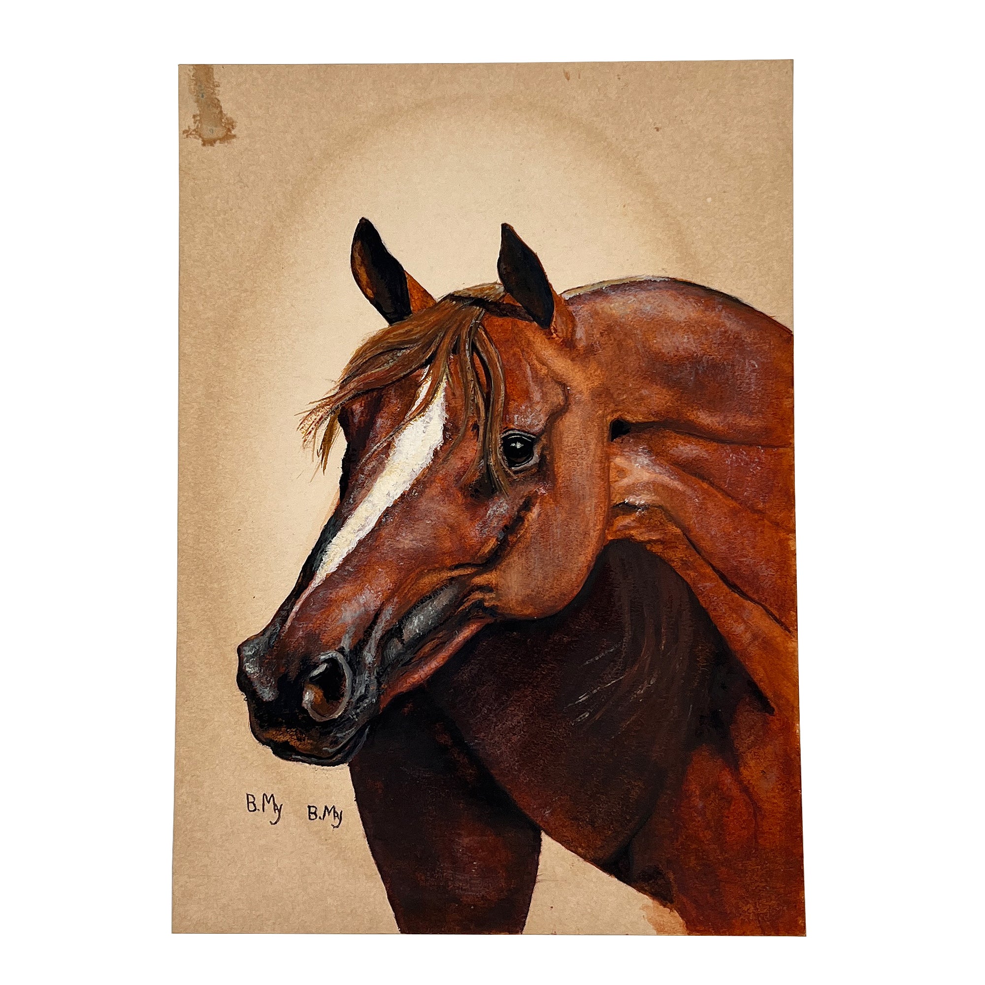 Portrait de cheval équestre sur carton, peint à la main, signé I. B., milieu du siècle dernier en vente