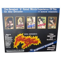 Vintage Hand-Painted Erotic Movie Poster for Cecil Howard's "Fire Storm" 1984