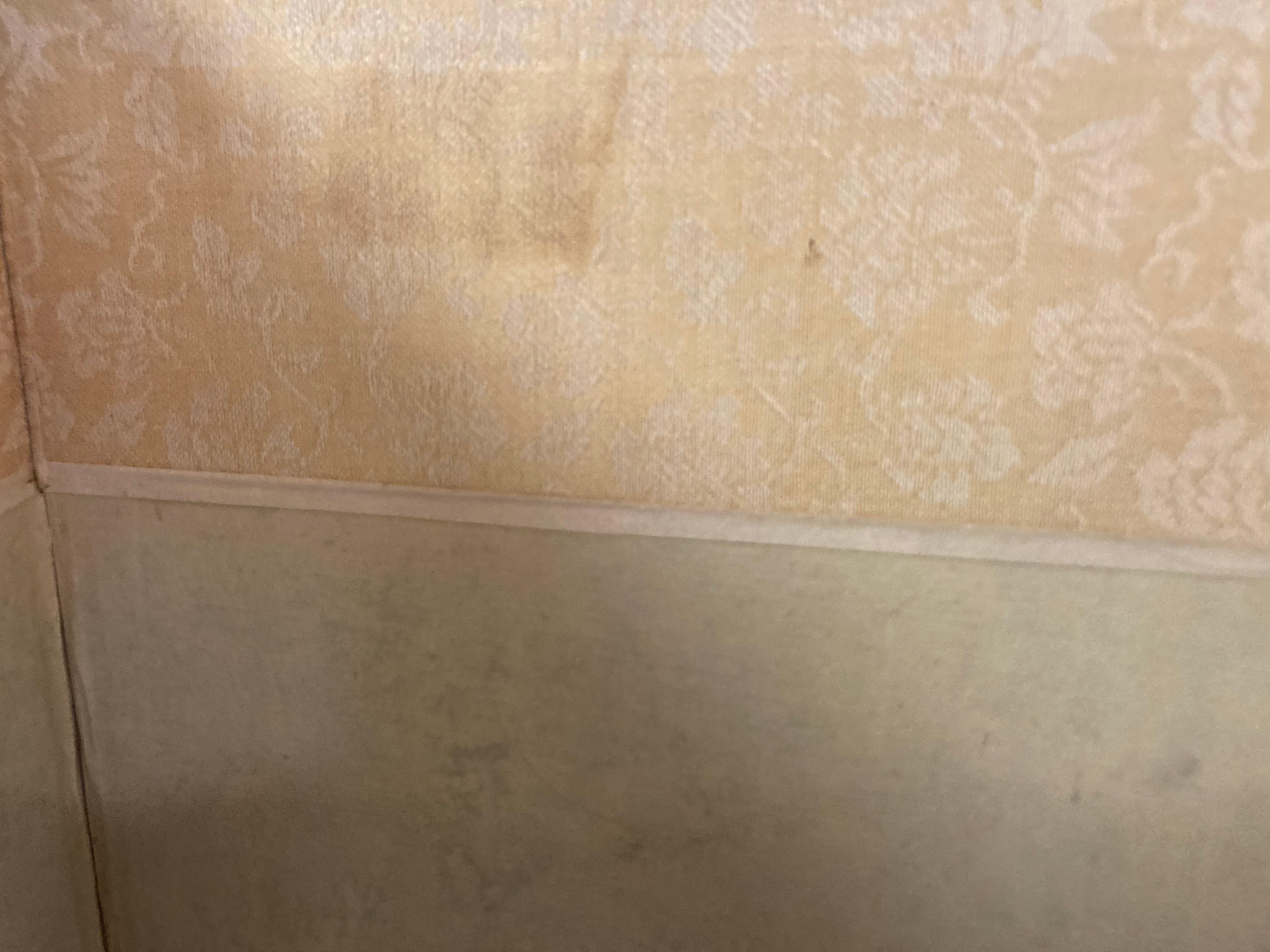 Paravento Koi da tavolo a quattro pannelli dipinti a mano in vendita 9