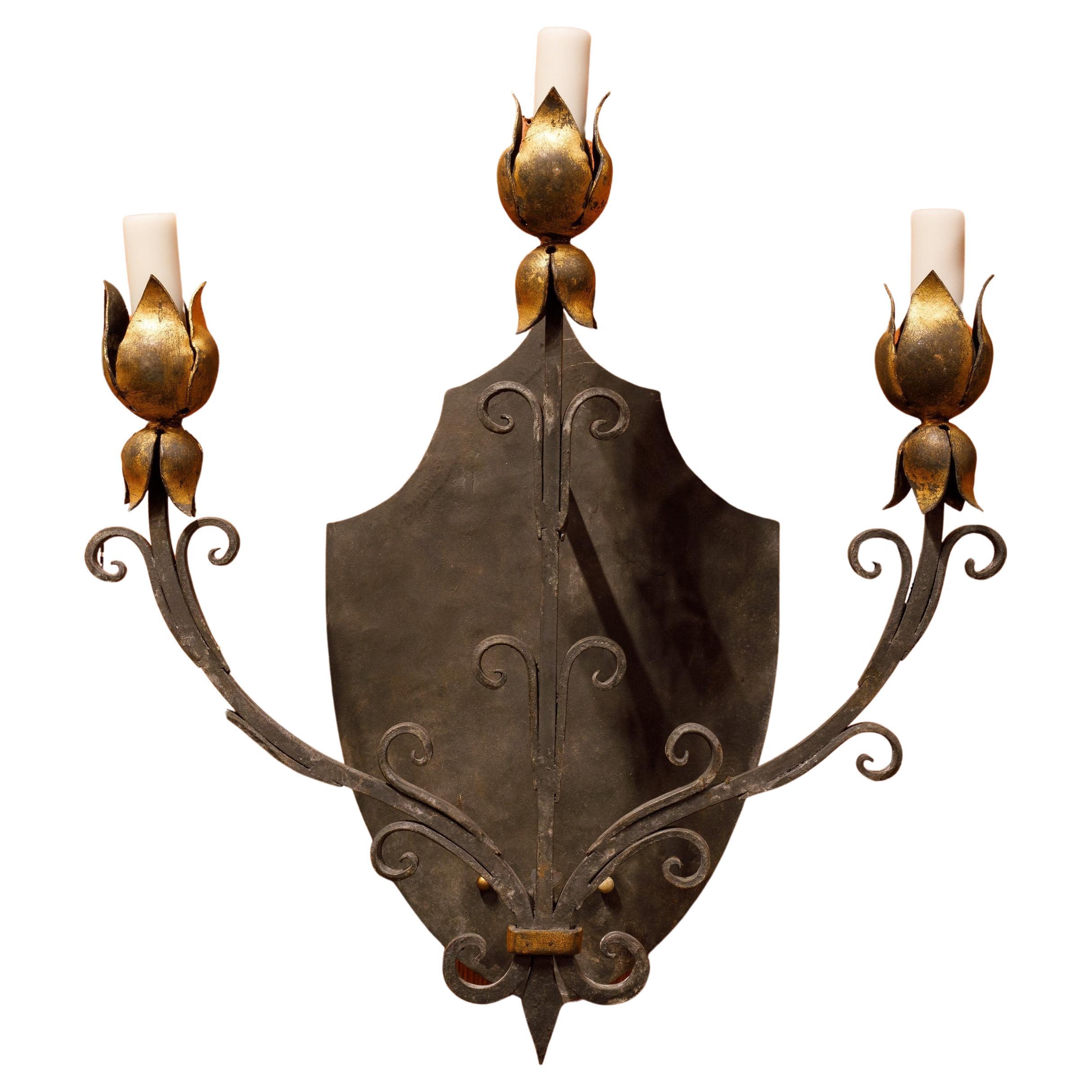 Hand-Painted, Hand-Forged Floral Motif Sconce For Sale