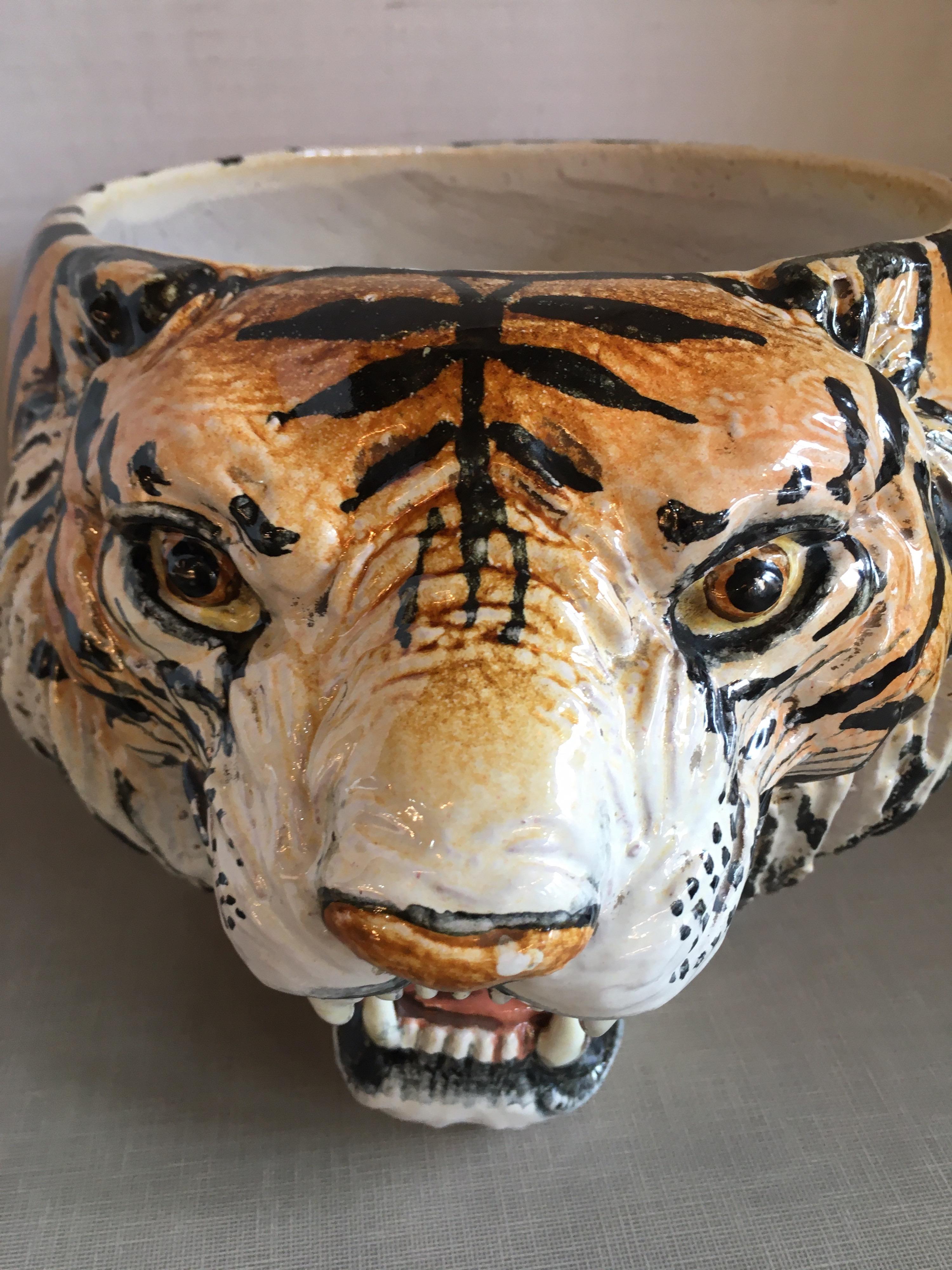 tiger head plant pot