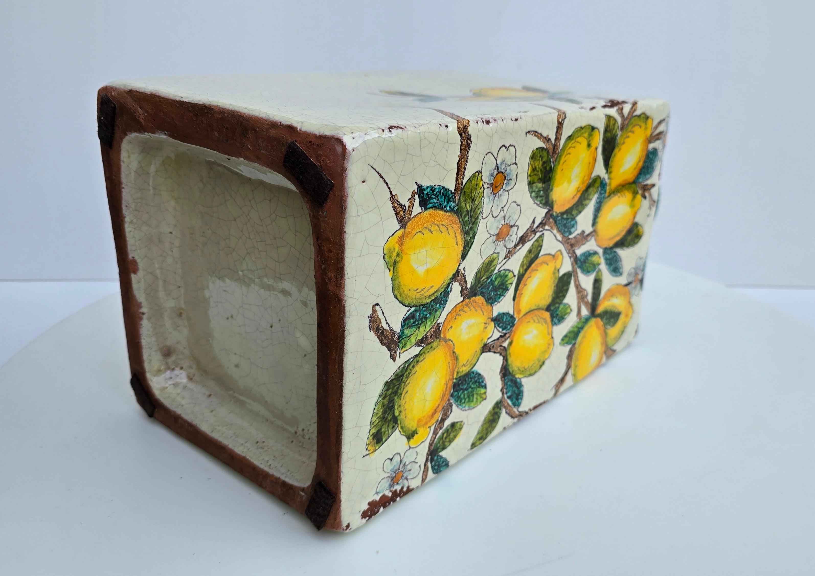 Jarrón italiano de terracota pintado a mano con limones y flores en venta 8