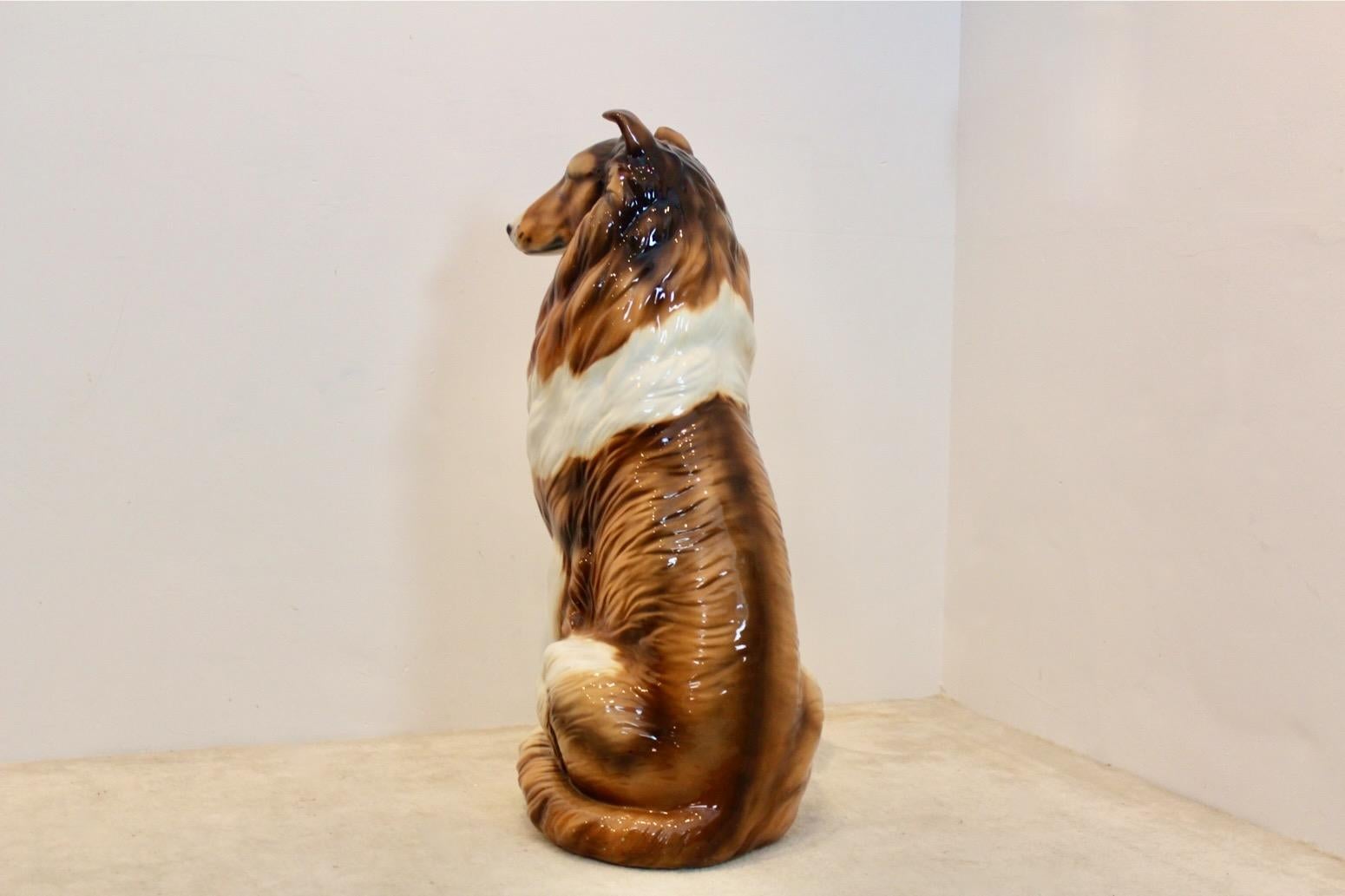 Hand Painted Life Size Collie Lassie Sculpture by Ronzan, Italy 1970s 3