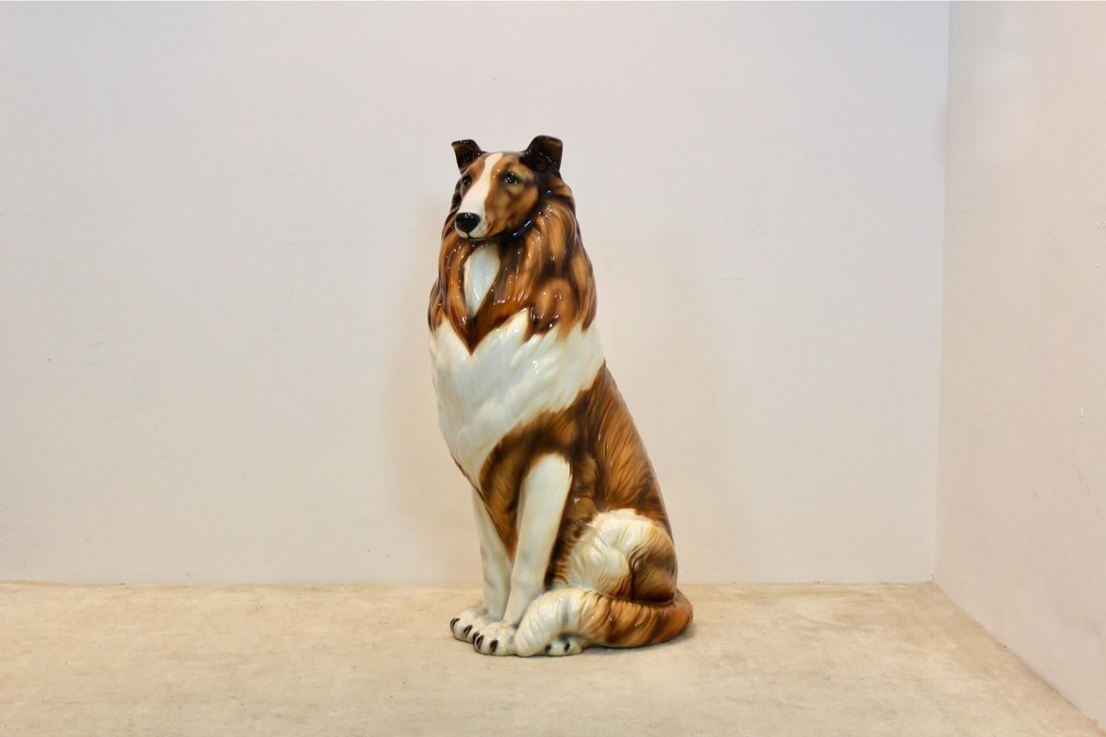 Hand Painted Life Size Collie Lassie Sculpture by Ronzan, Italy 1970s 4