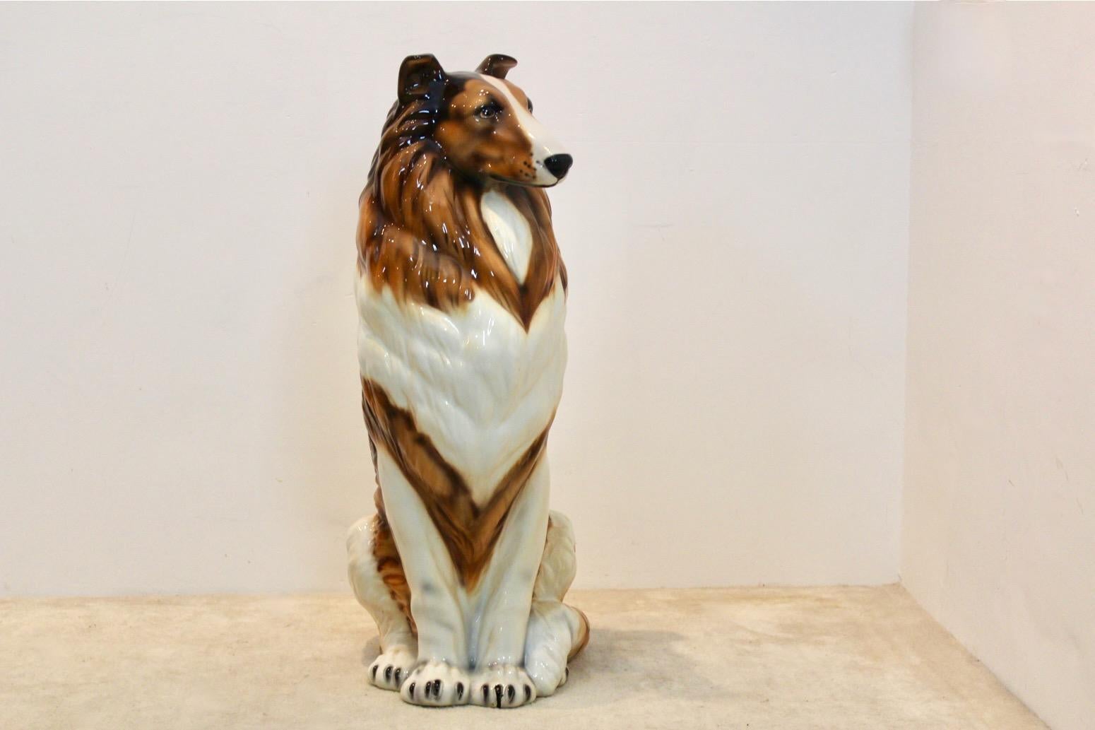 Hand Painted Life Size Collie Lassie Sculpture by Ronzan, Italy 1970s 6