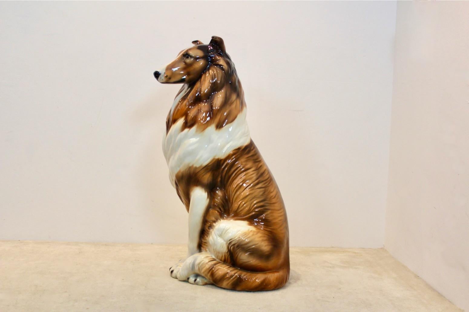 Hand Painted Life Size Collie Lassie Sculpture by Ronzan, Italy 1970s 7