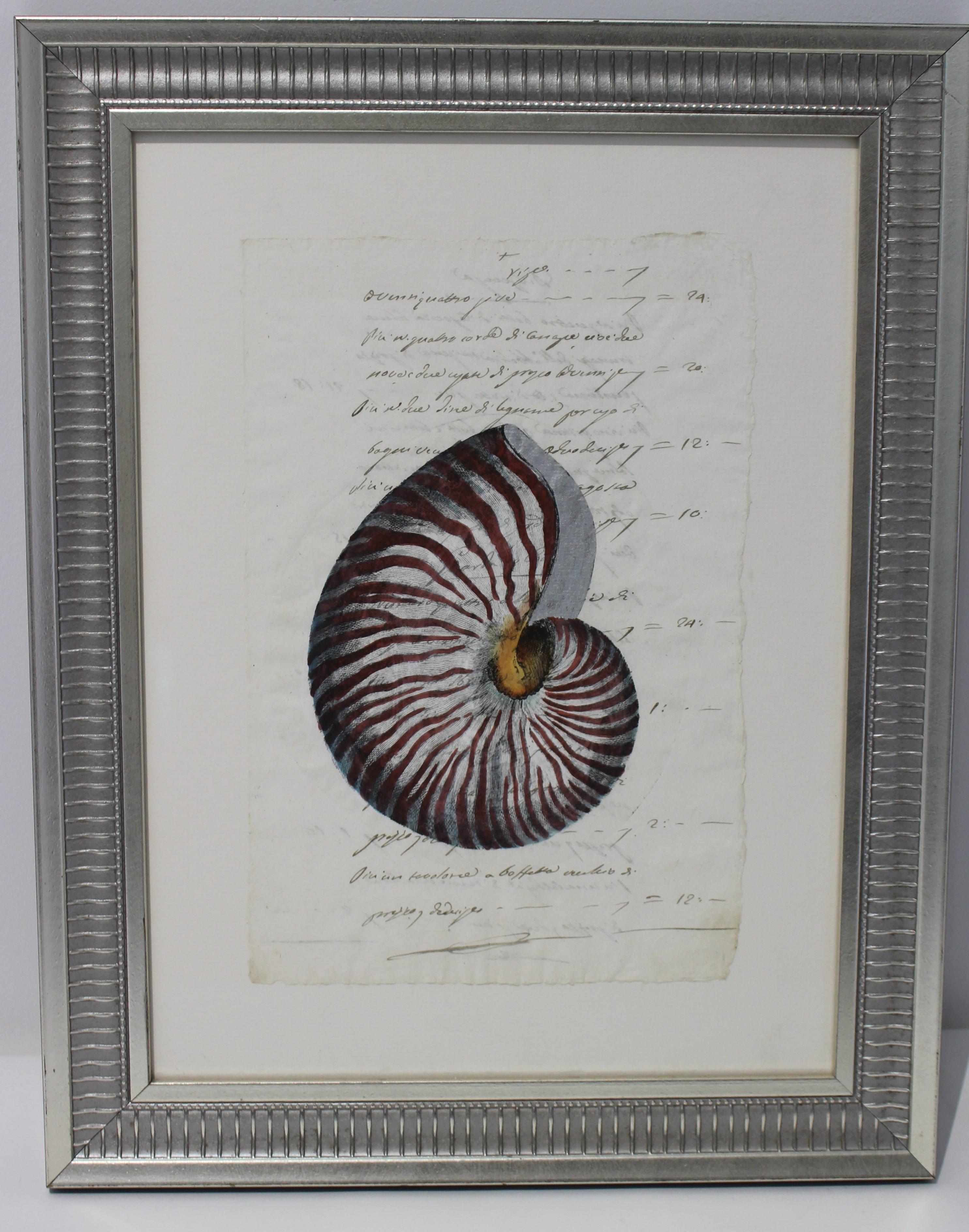 Paper Hand Painted Nautilus Shell on Parchment For Sale