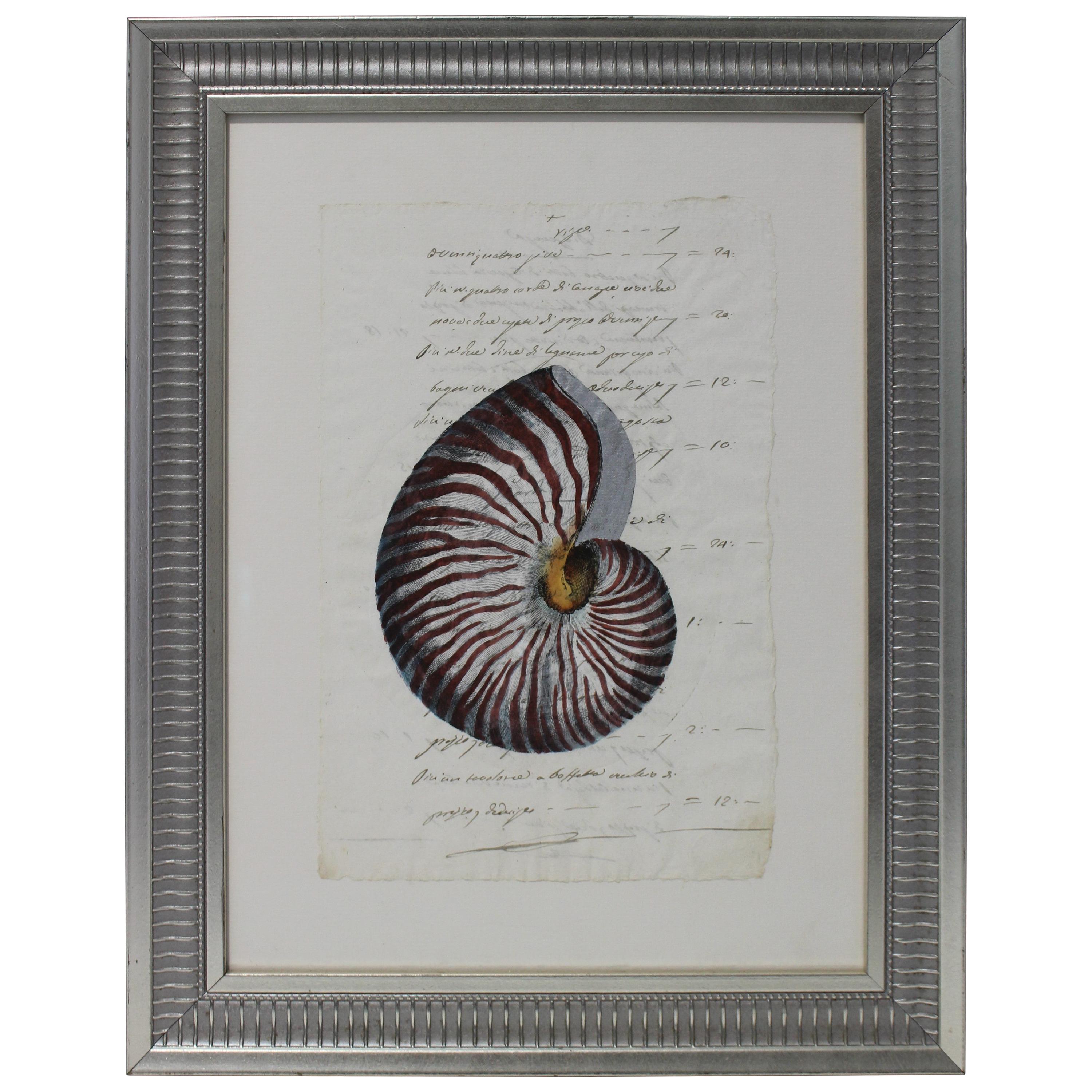 Hand Painted Nautilus Shell on Parchment For Sale