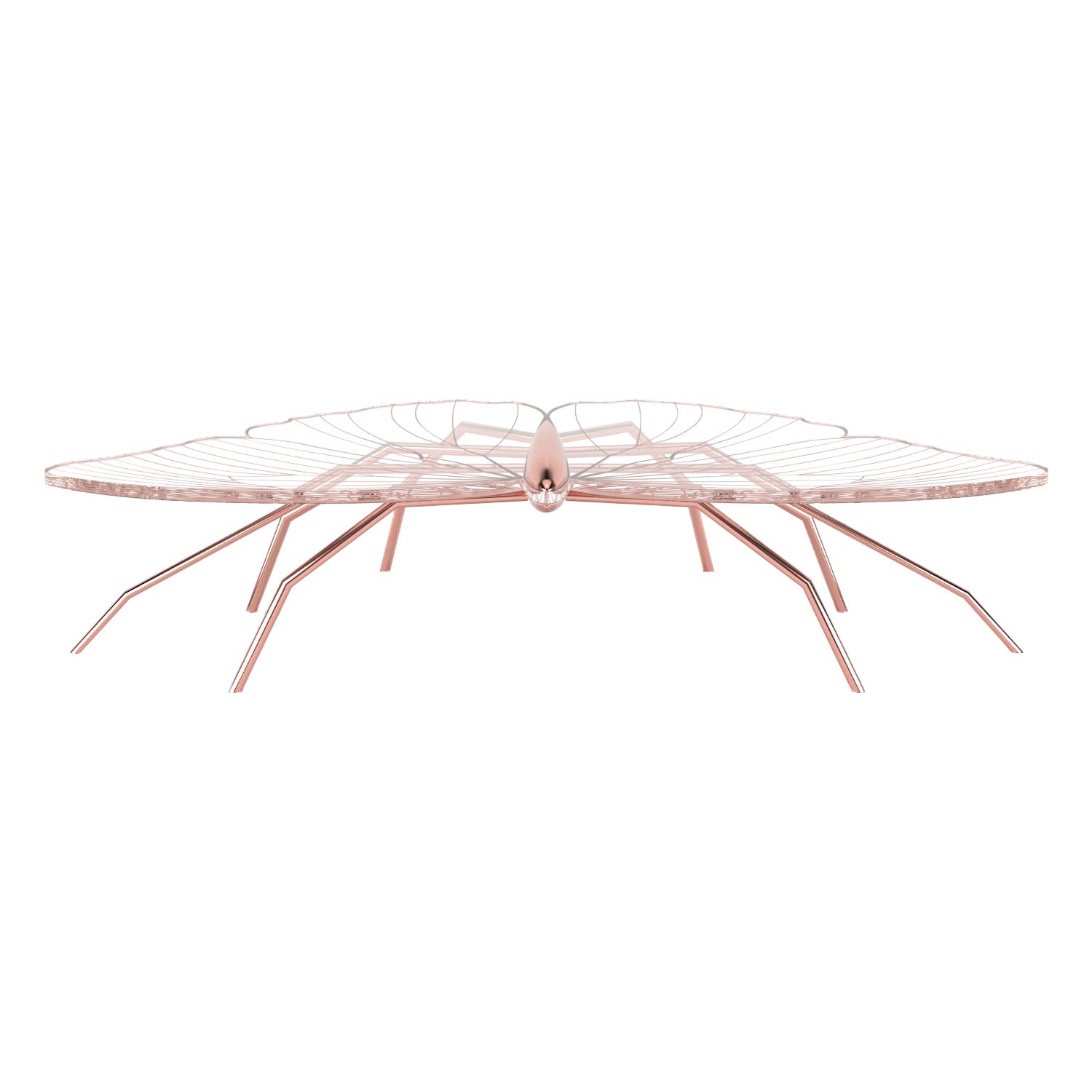 Our Nature Collection is eclectic and incomplete. We will always be waiting for Nature's next inspiration. The coffee table from this collection is butterfly-inspired, and the console from the same collection is dragonfly-inspired. Their unique and