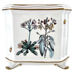 Hand Painted Porcelain Cachepot Designed by Anna Weatherley