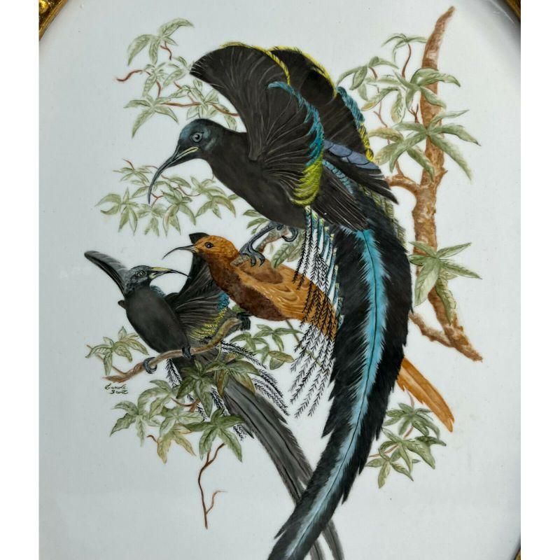 20ième siècle Plaque en porcelaine peinte à la main représentant des oiseaux, signée Carole Scott en vente
