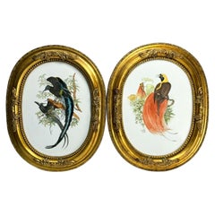 Vintage Hand Painted Porcelain Plaque of Birds, Signed, Carole Scott