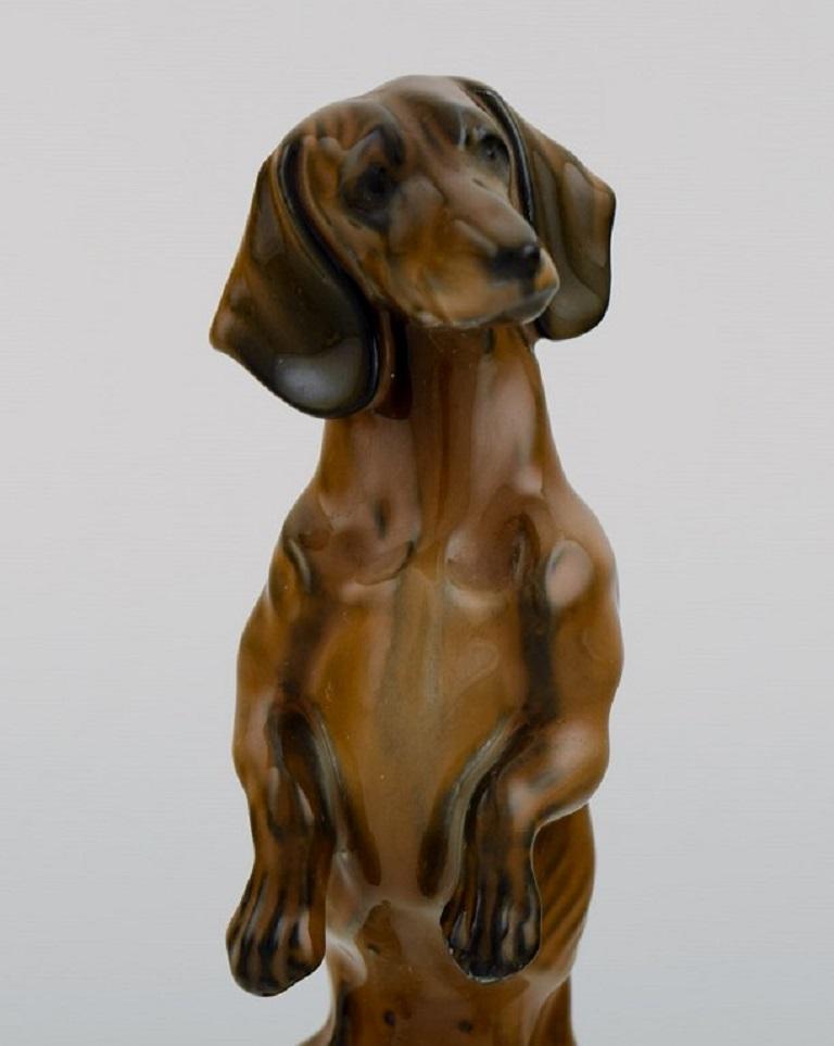Hand-painted Rosenthal porcelain figurine. Standing dachshund. Mid-20th century.
Measures: 12 x 5.2 cm.
In excellent condition.
Stamped.