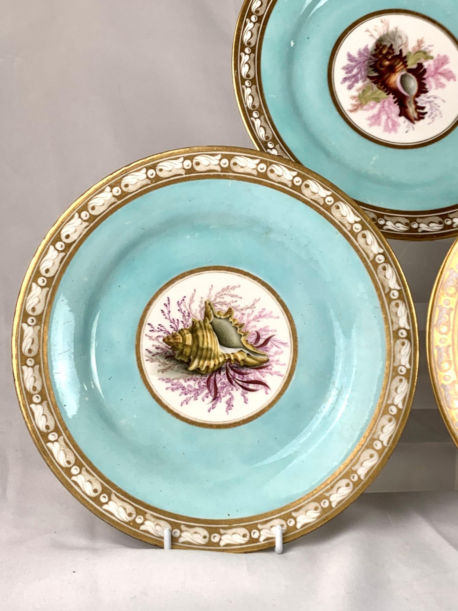 English Hand Painted Shell Decorated Worcester Plates Set of 5 Flight Barr Barr C-1820 For Sale