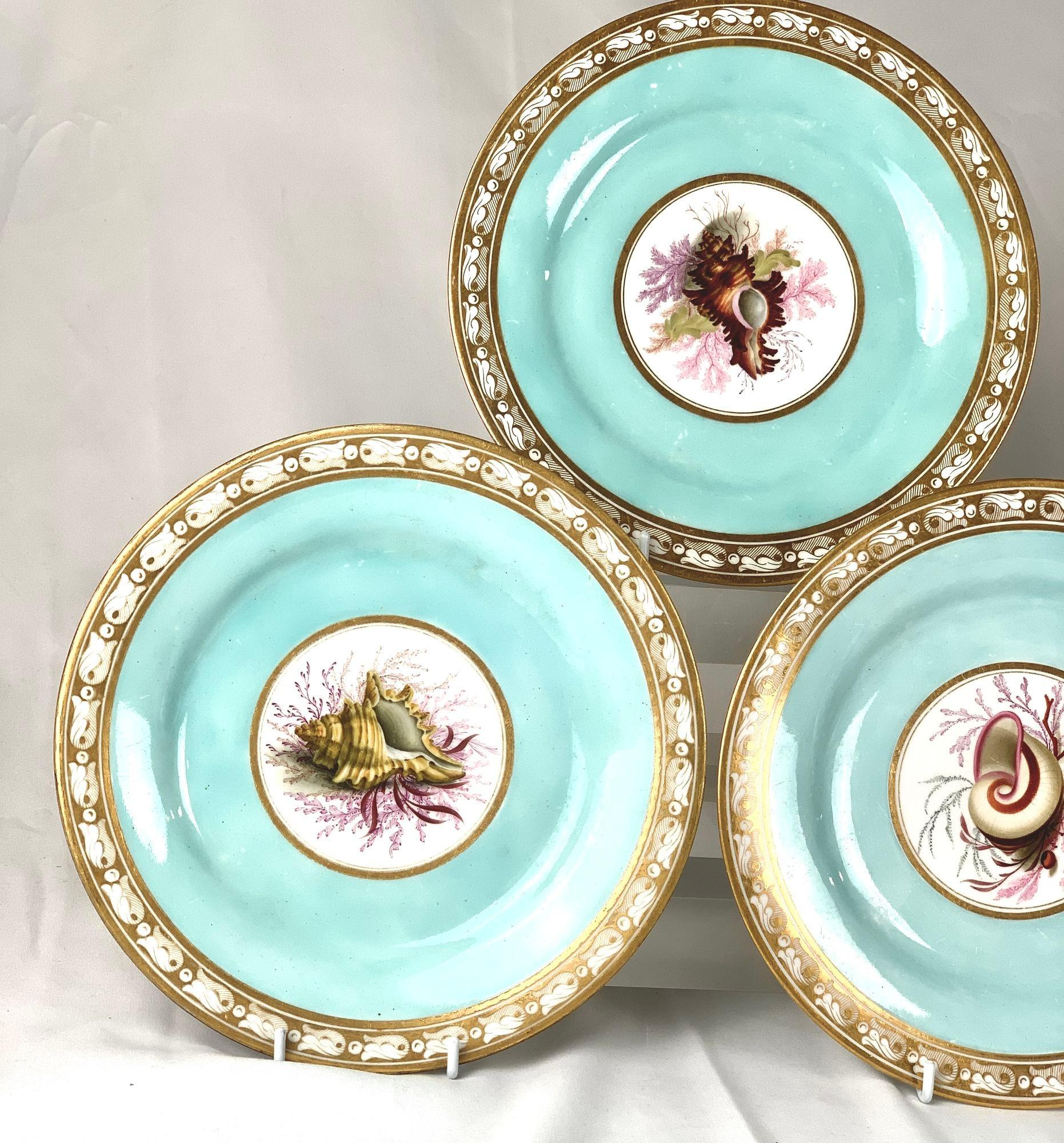 Hand-Painted Hand Painted Shell Decorated Worcester Plates Set of 5 Flight Barr Barr C-1820 For Sale