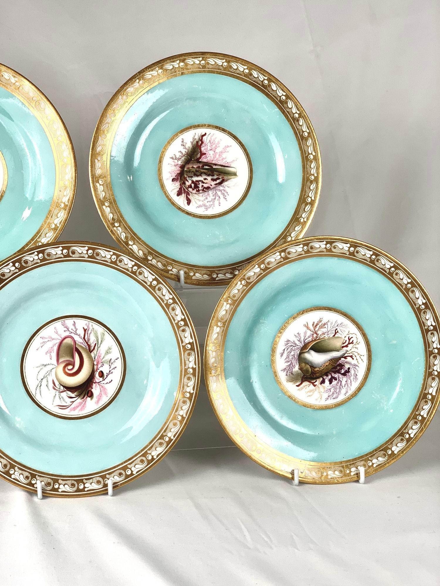 Hand Painted Shell Decorated Worcester Plates Set of 5 Flight Barr Barr C-1820 In Excellent Condition For Sale In Katonah, NY