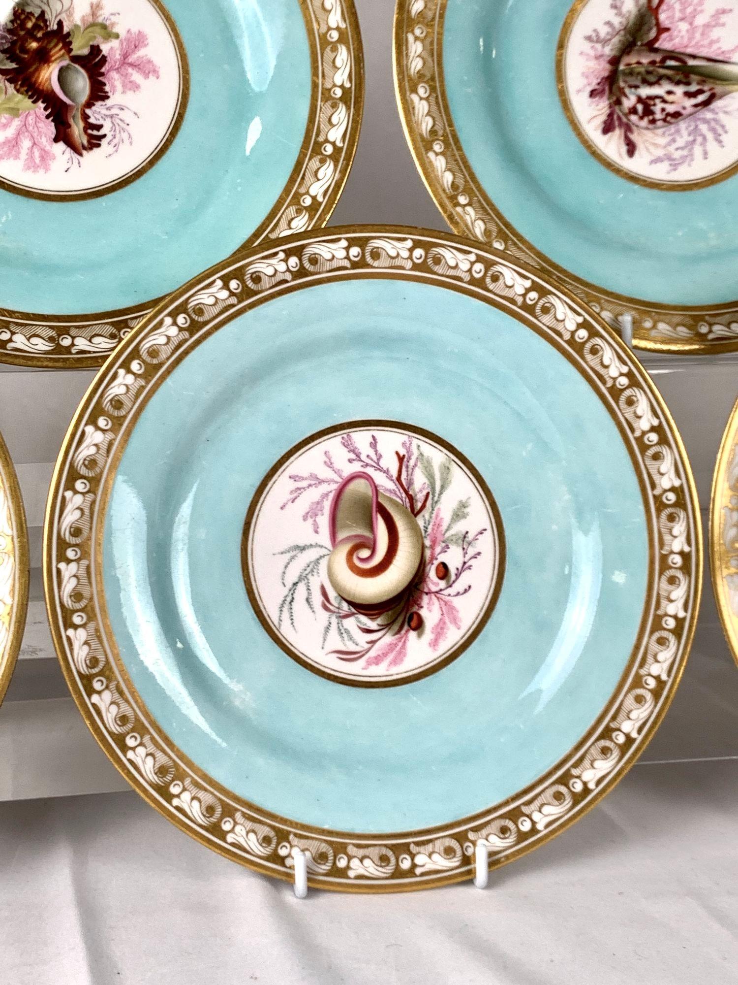 19th Century Hand Painted Shell Decorated Worcester Plates Set of 5 Flight Barr Barr C-1820 For Sale
