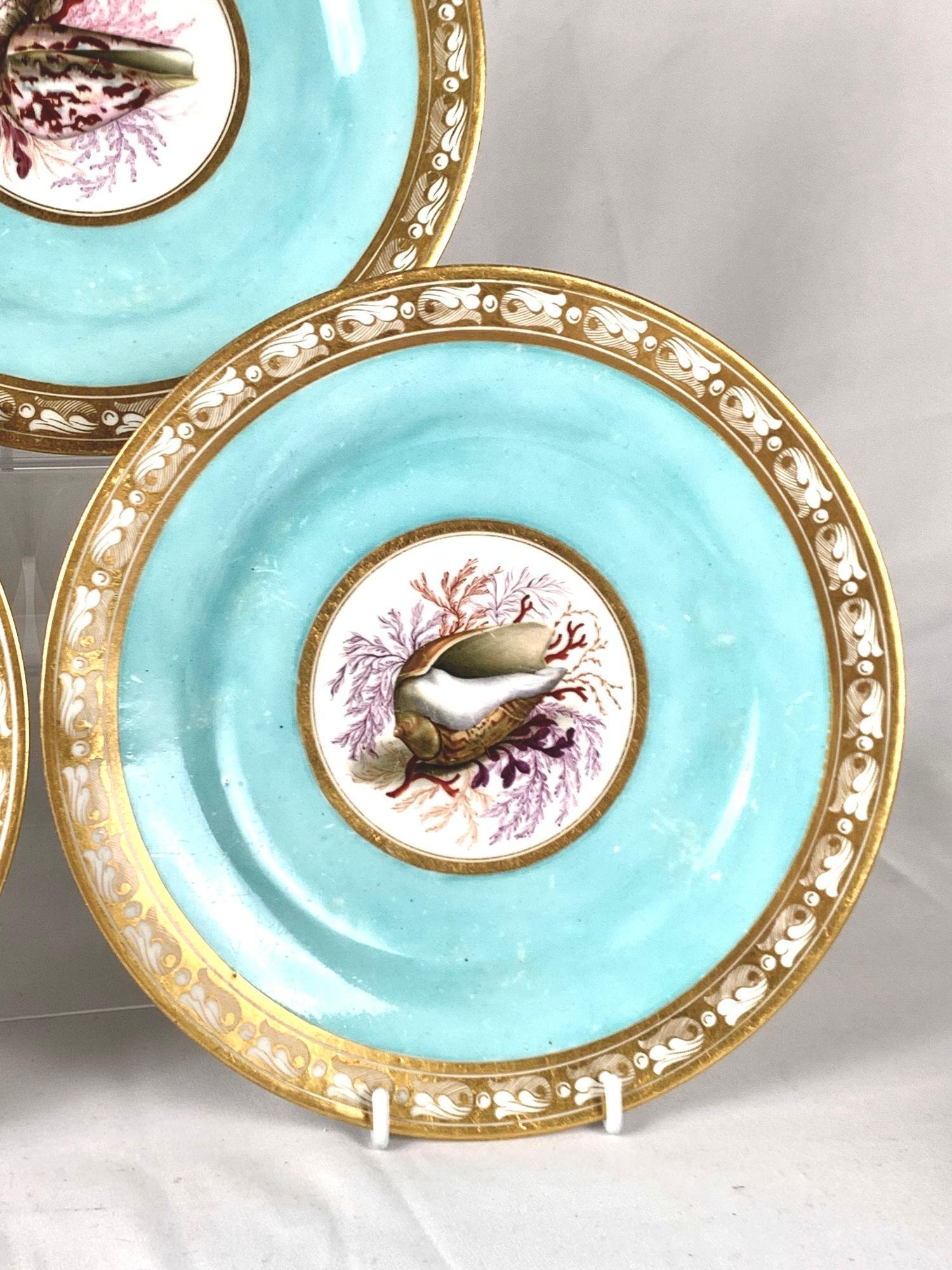 Porcelain Hand Painted Shell Decorated Worcester Plates Set of 5 Flight Barr Barr C-1820 For Sale