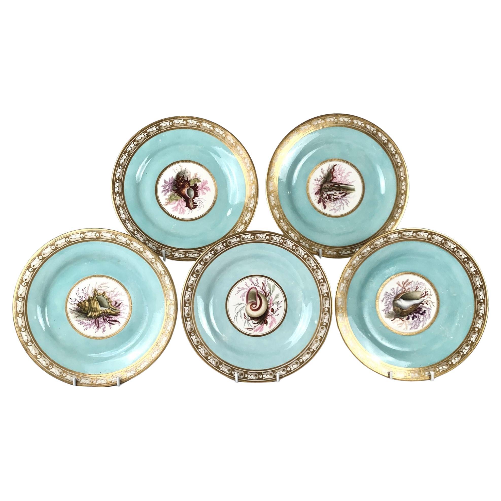 Hand Painted Shell Decorated Worcester Plates Set of 5 Flight Barr Barr C-1820 For Sale